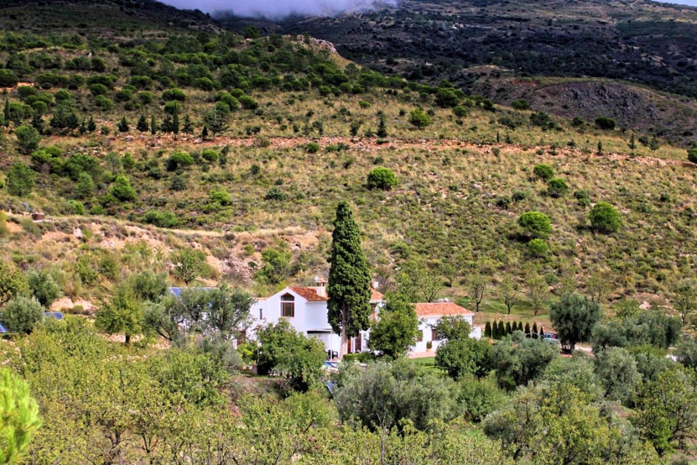 Villa photo 3