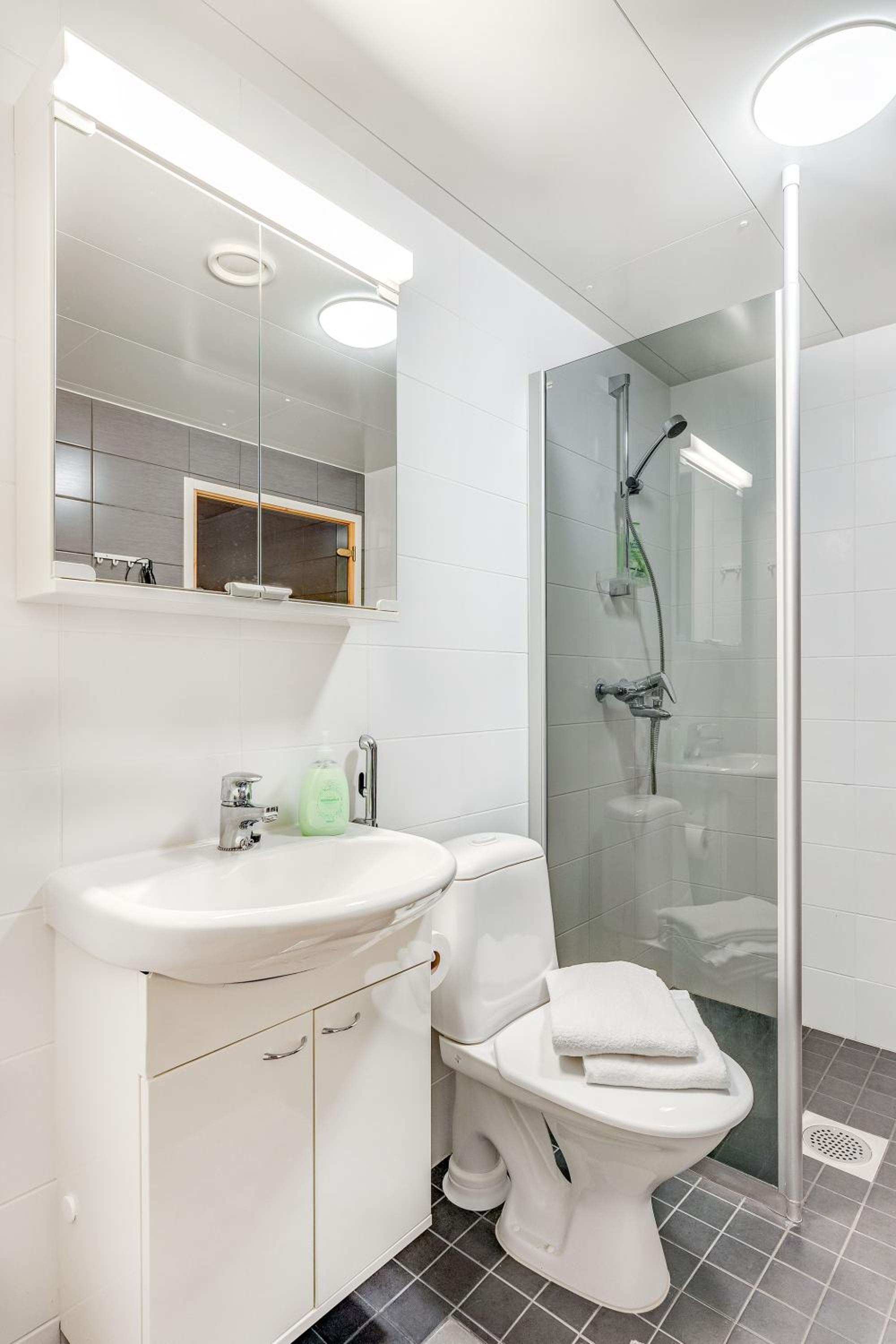 Apartment with Sauna - Photo 9