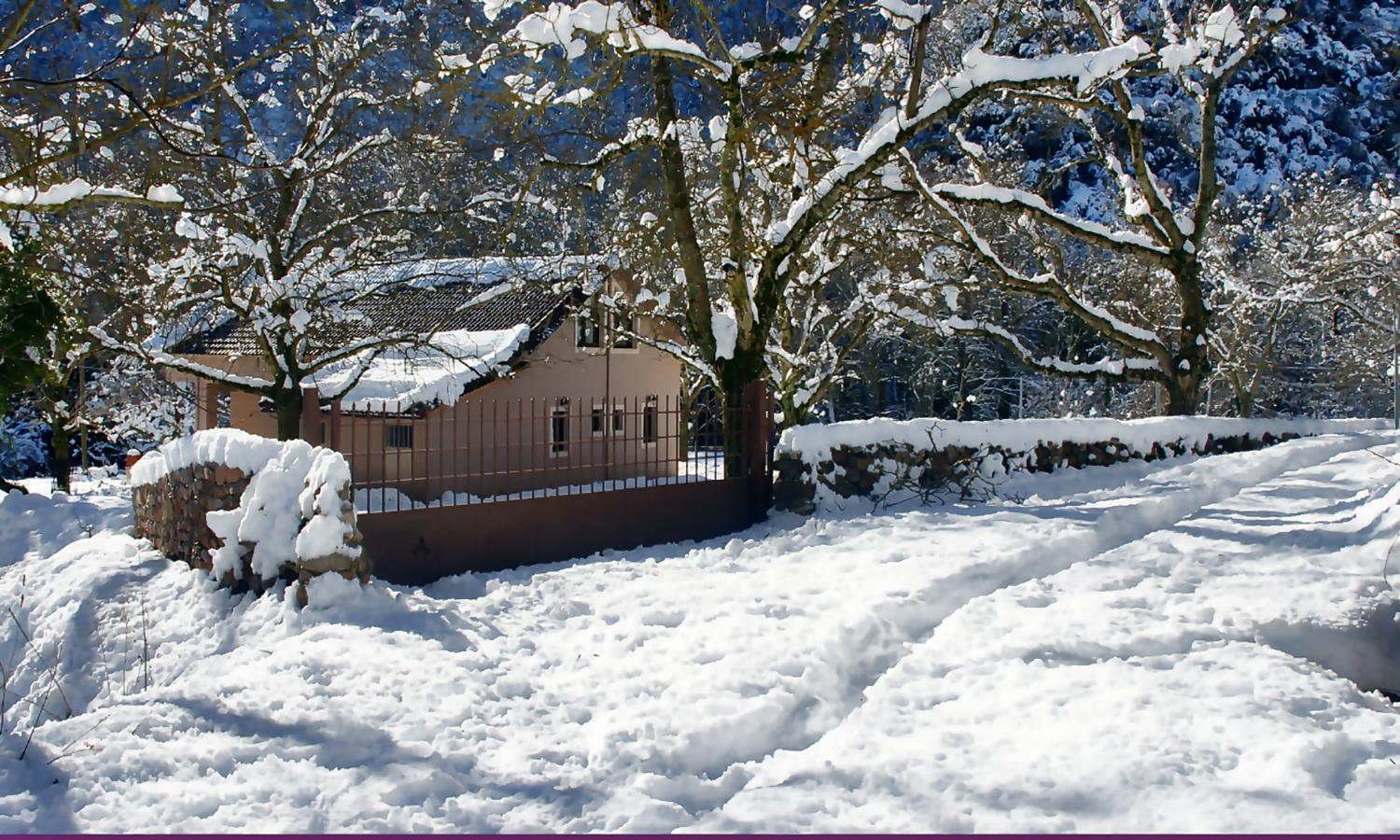 Superior Chalet photo 2