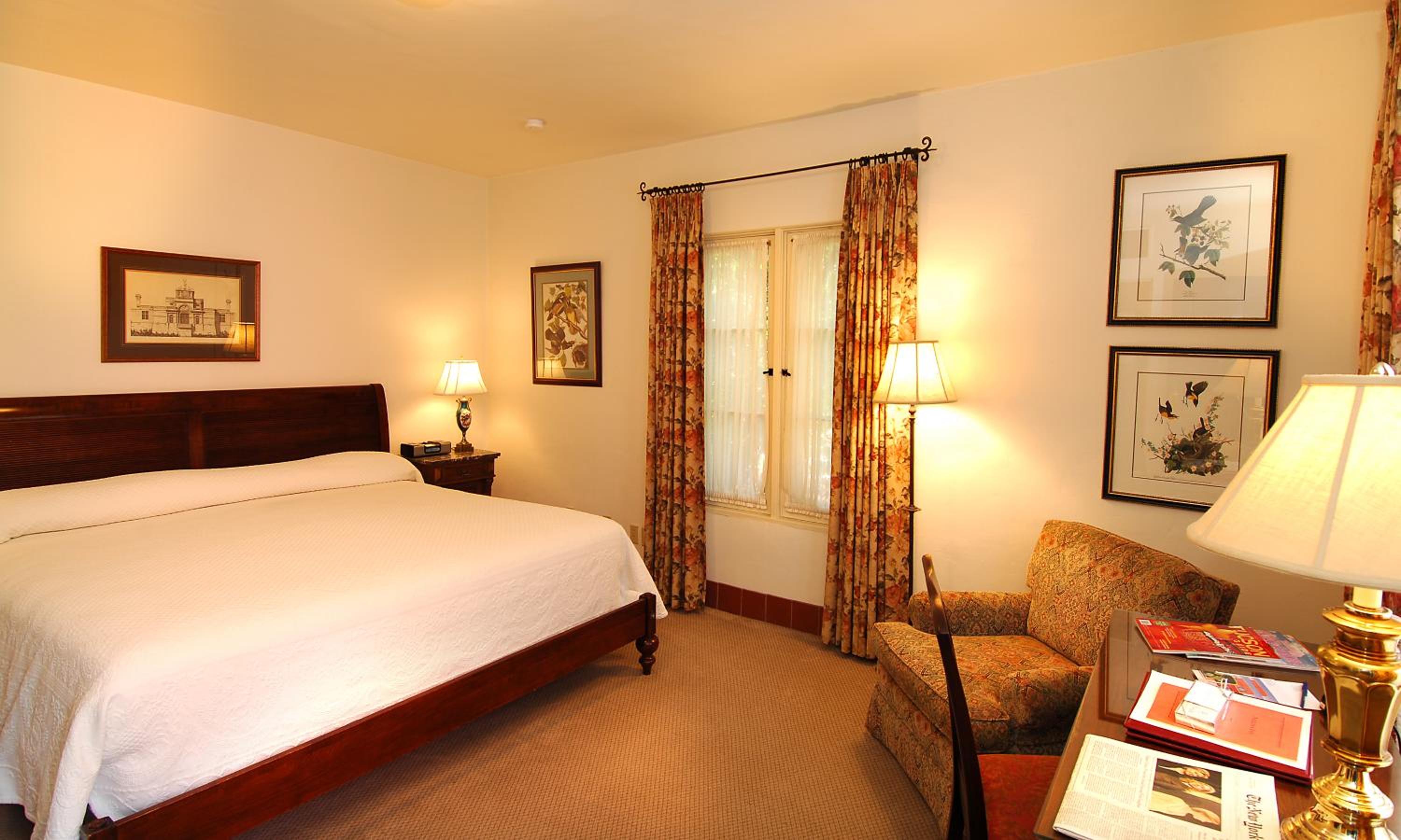 Premium King Room photo 1
