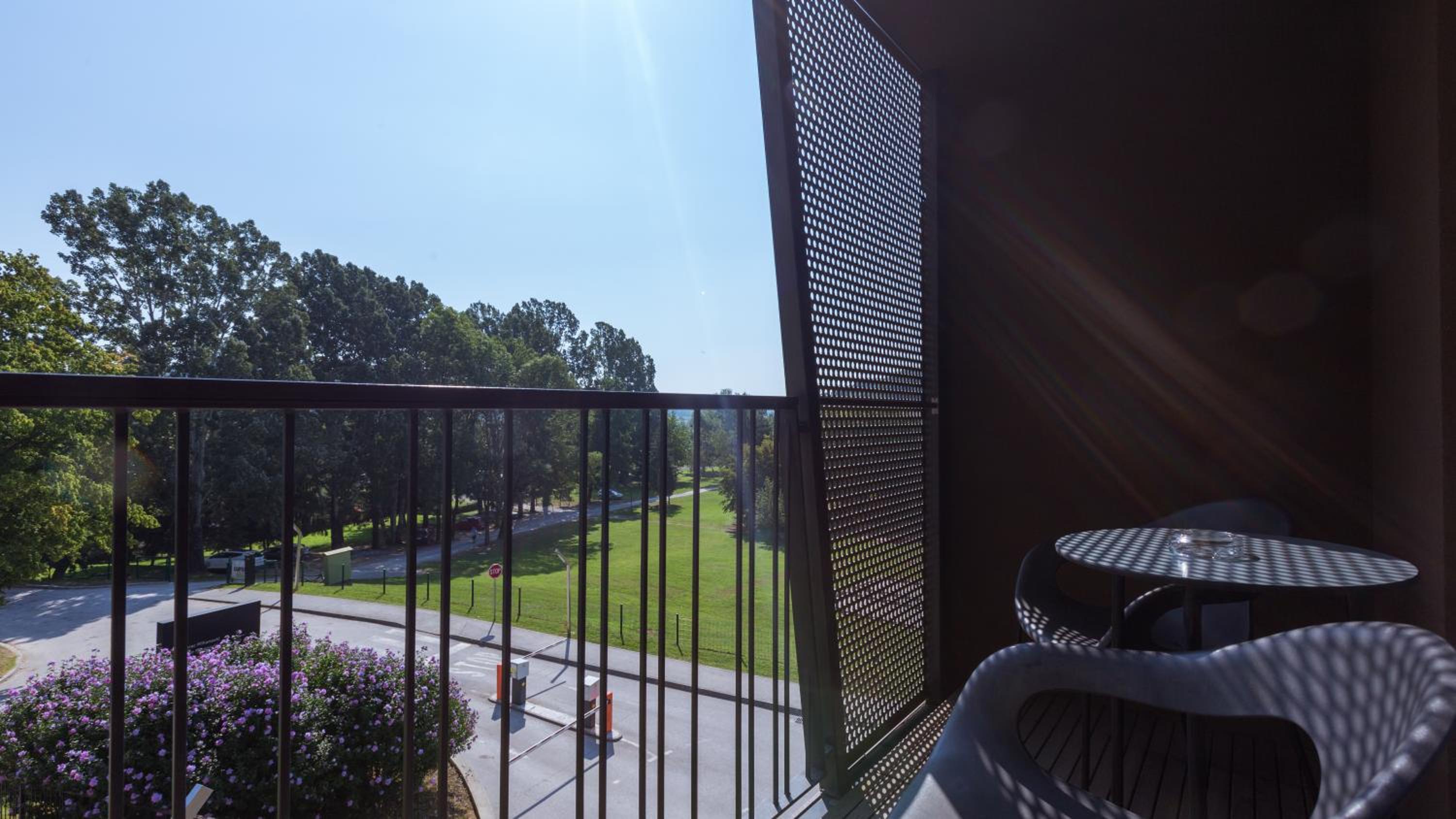 Premium Suite photo 3