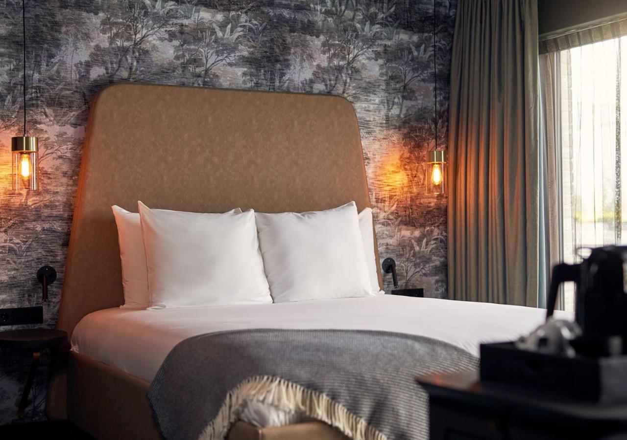 Suite photo 3