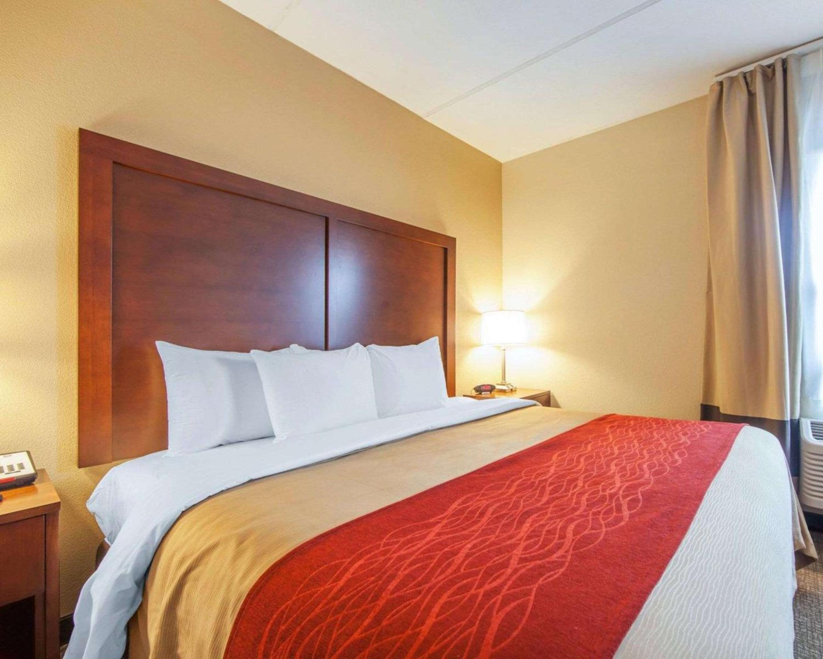 King Suite with Sofa Bed - Non-Smoking - Photo 1