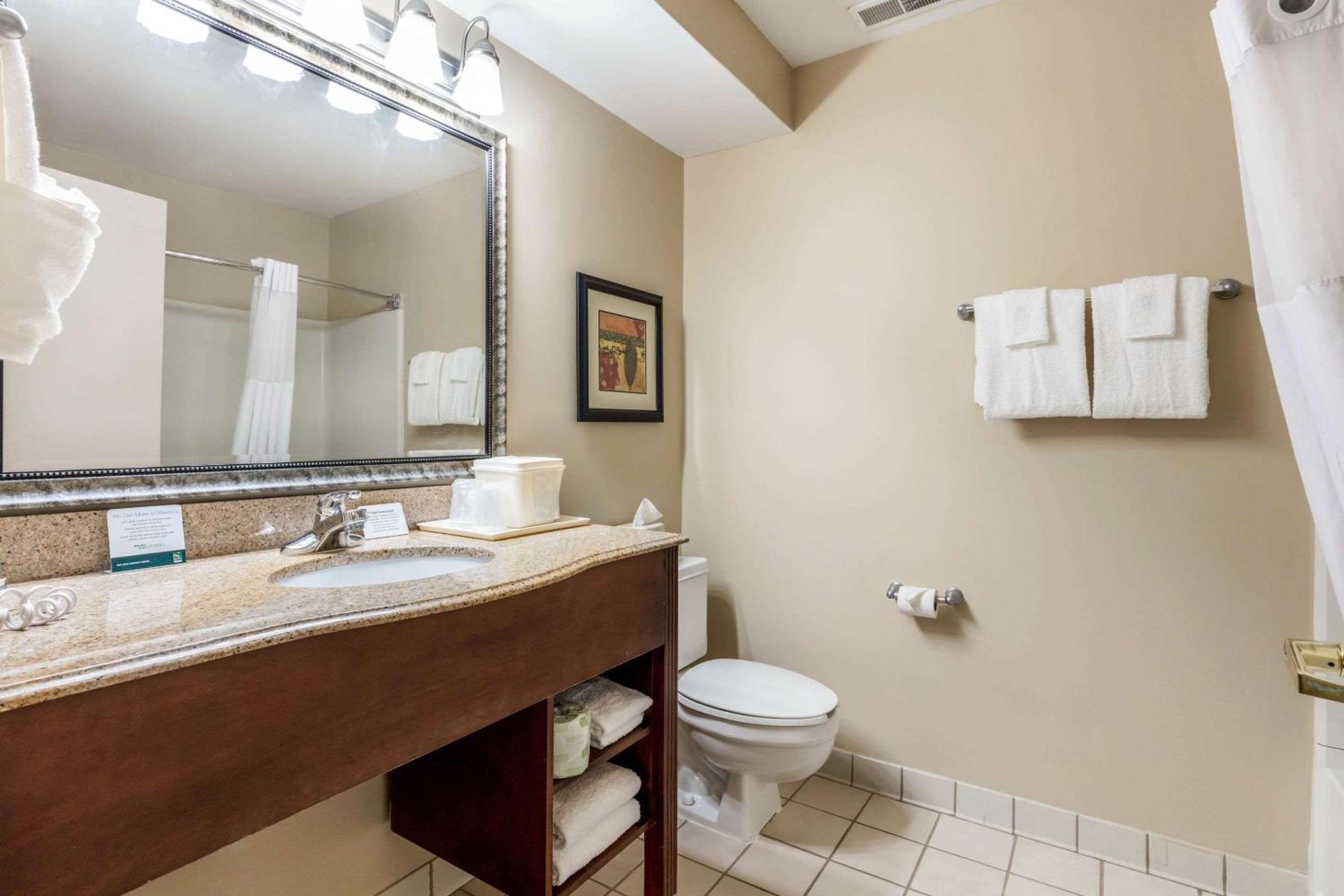 King Suite - Photo 4