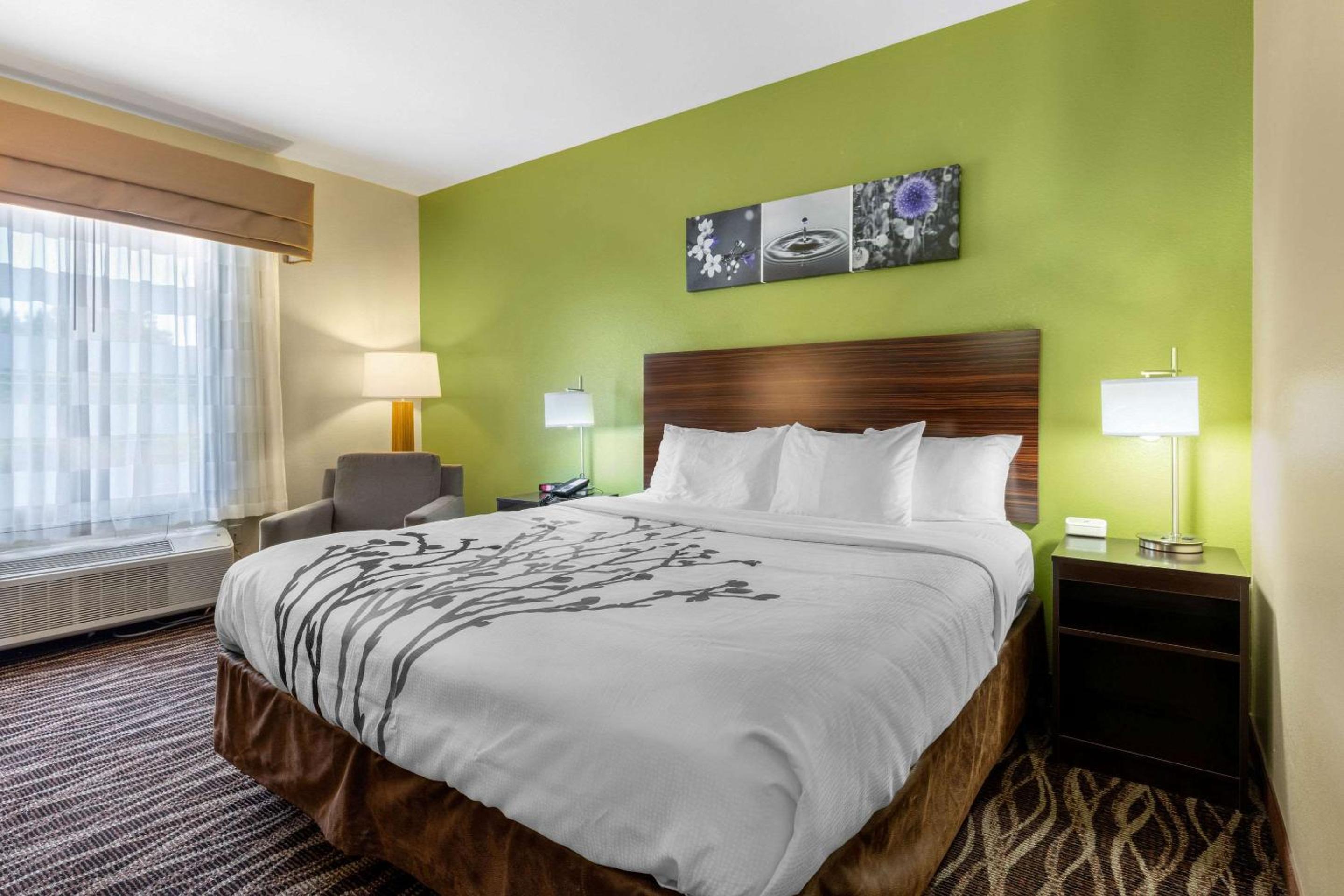 King Room - Non-Smoking - Photo 2