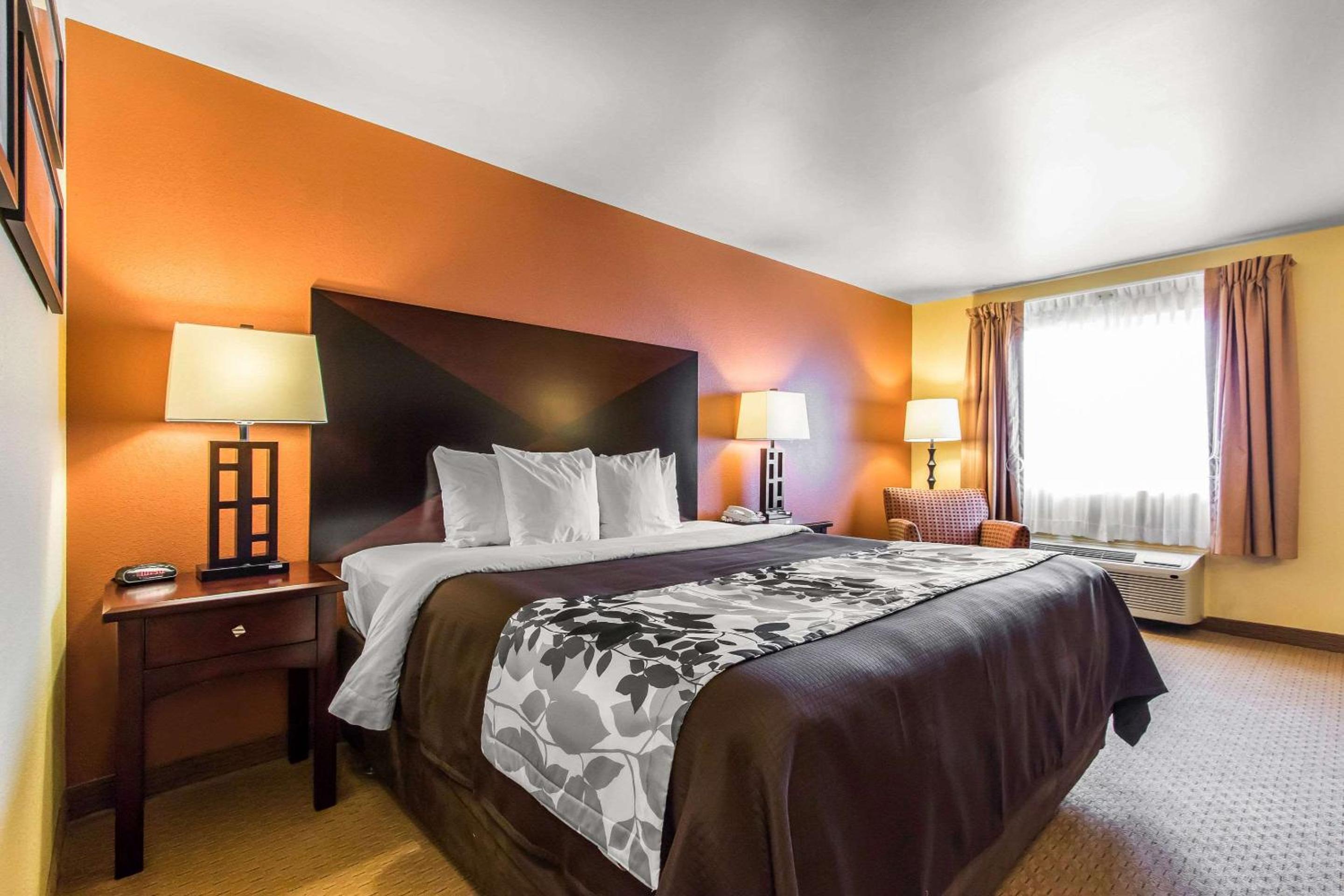 King Room - Non-Smoking - Photo 4