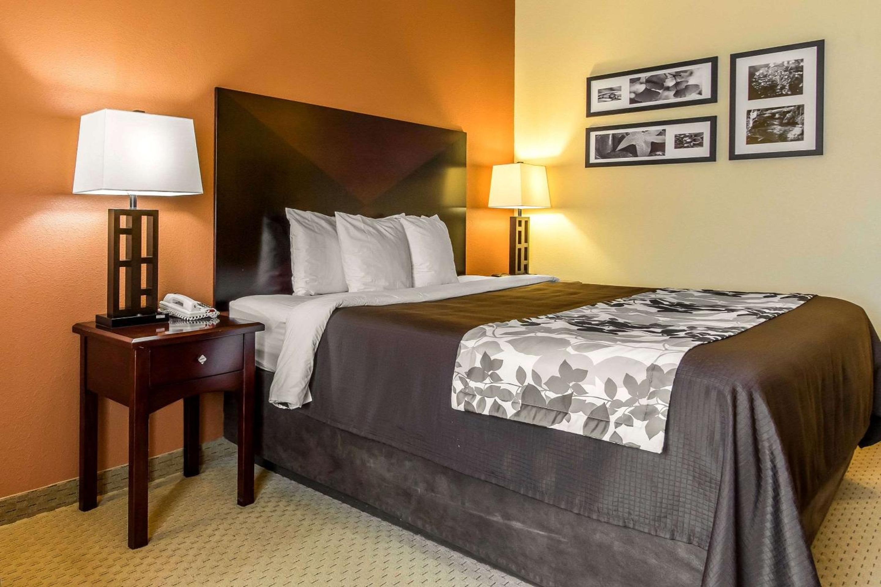 King Room - Non-Smoking - Photo 6