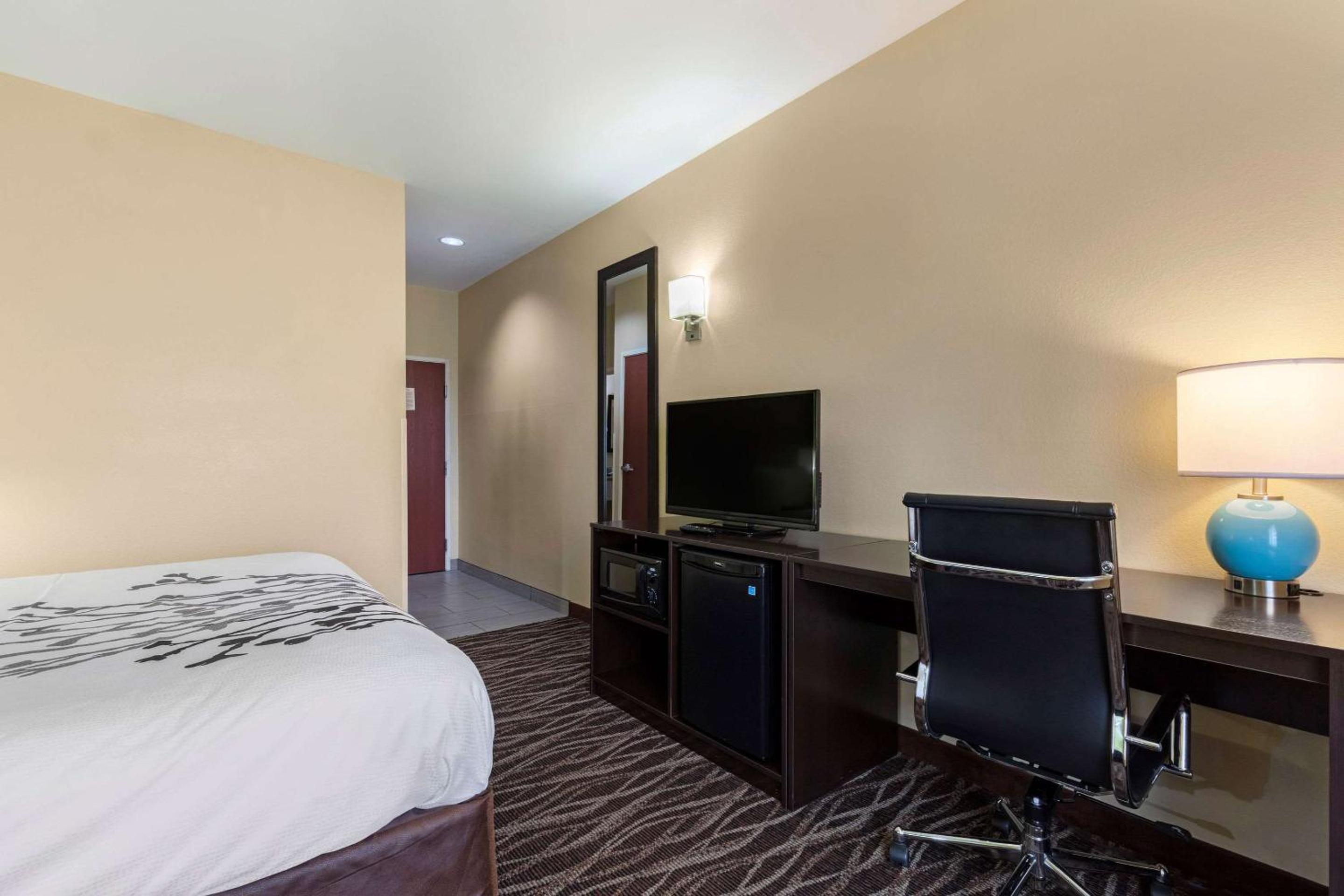 King Room - Non-Smoking - Photo 3
