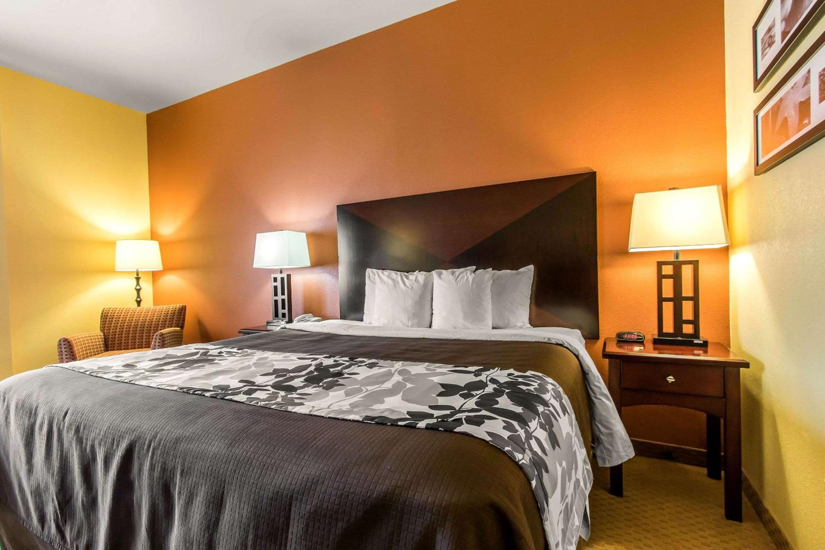 King Room - Non-Smoking - Photo 2