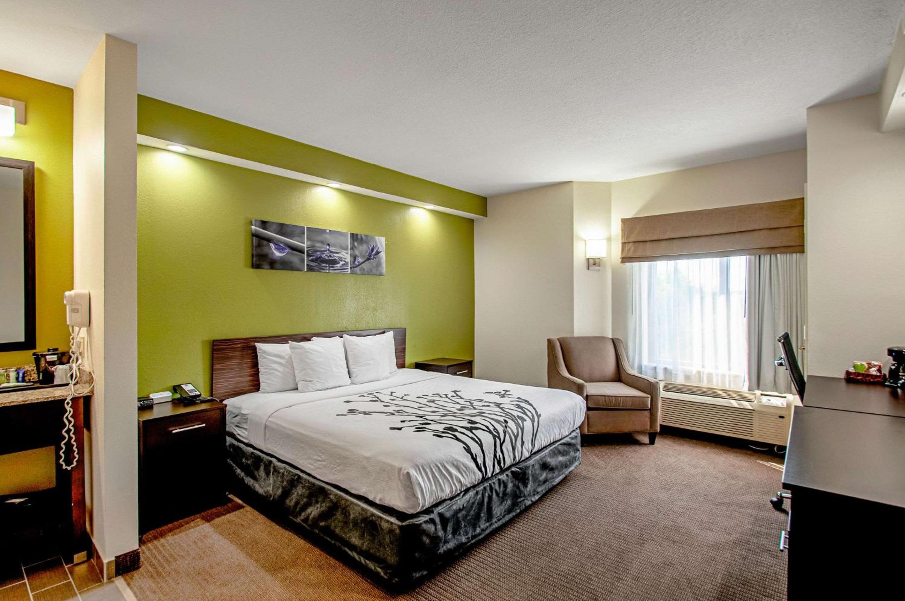 King Room - Non-Smoking photo 1