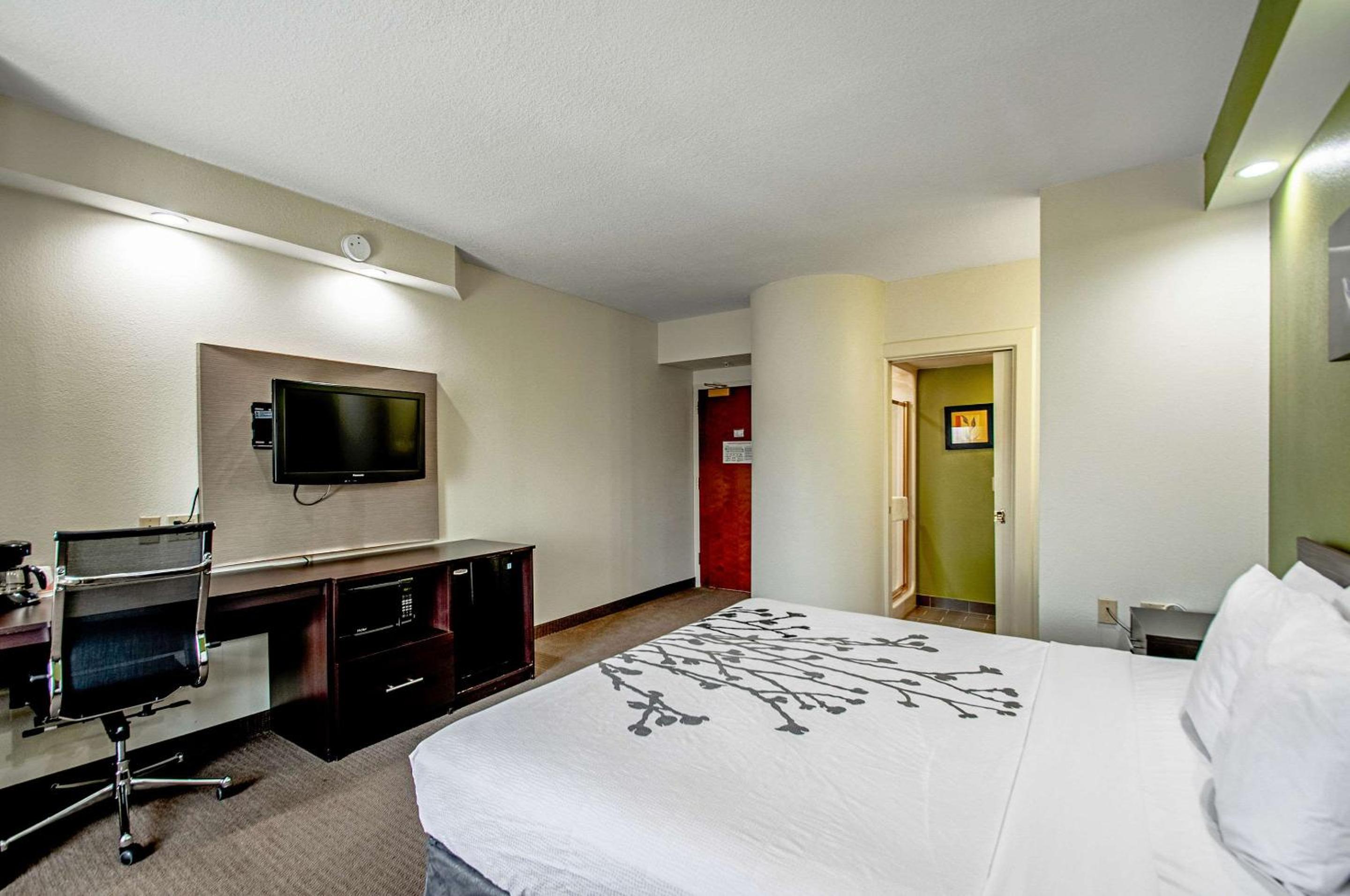 King Room - Non-Smoking photo 2