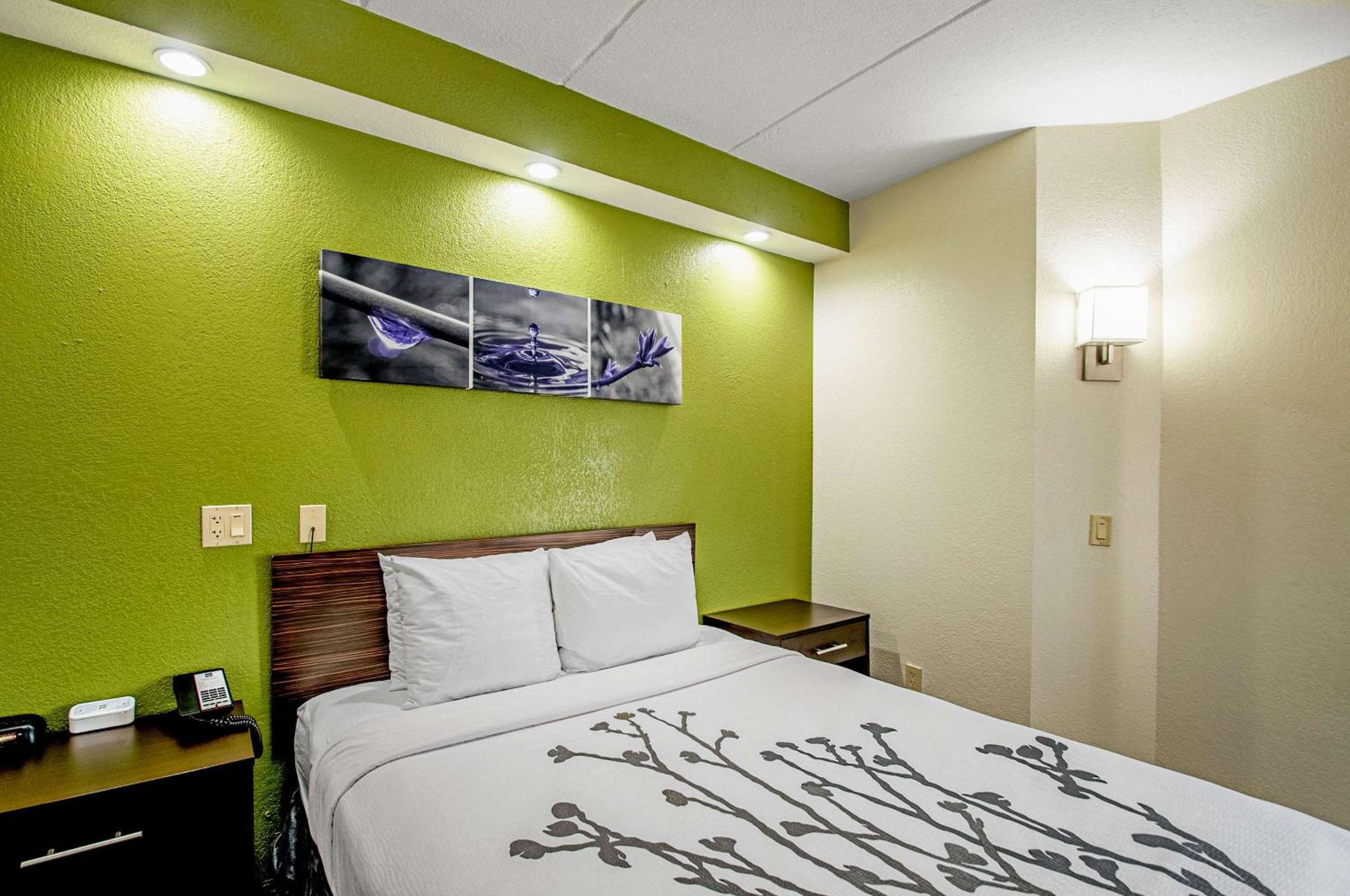 Queen Room - Disability Access/Non-Smoking - Photo 5