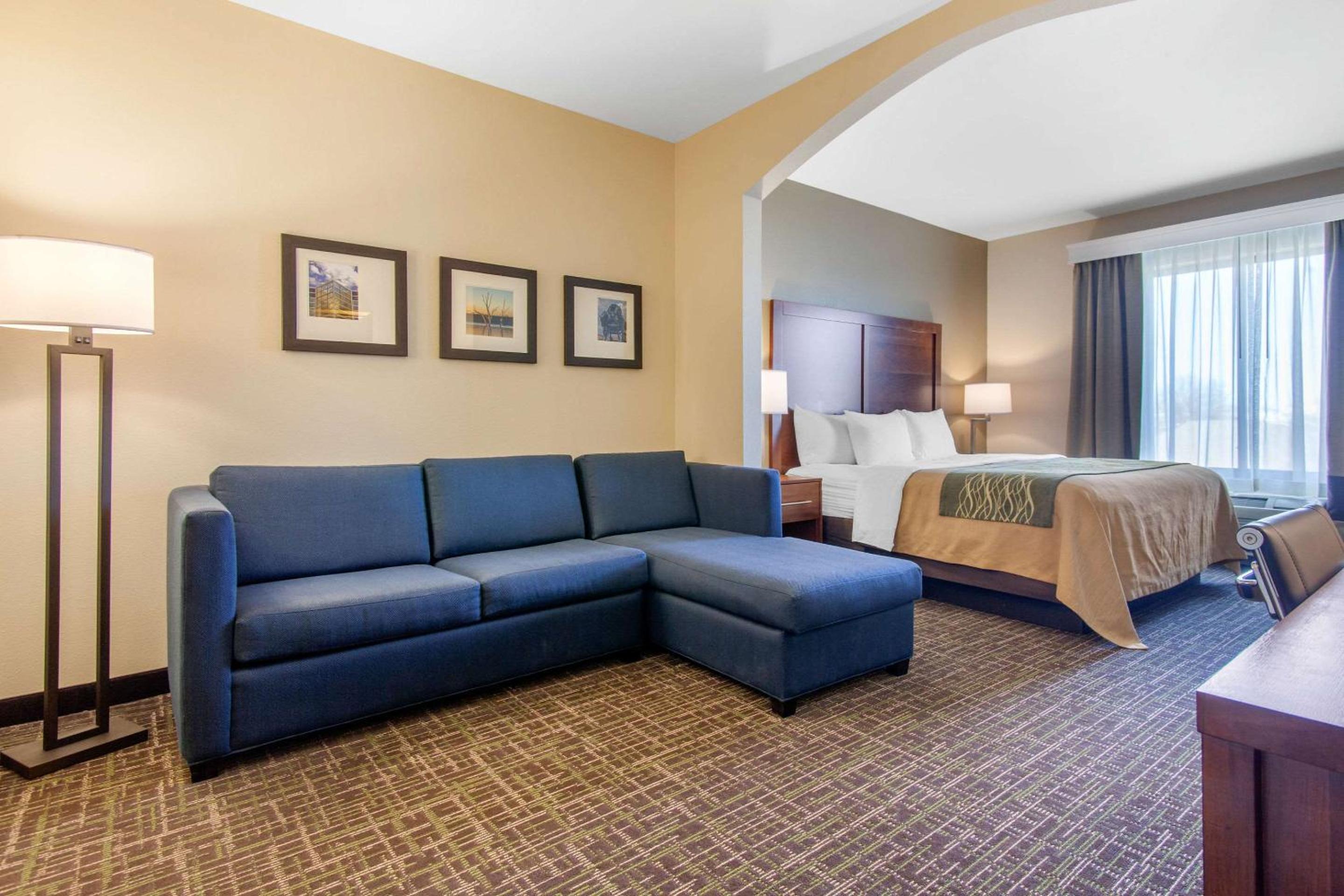 King Suite with Sofa Bed - Non-Smoking - Photo 3