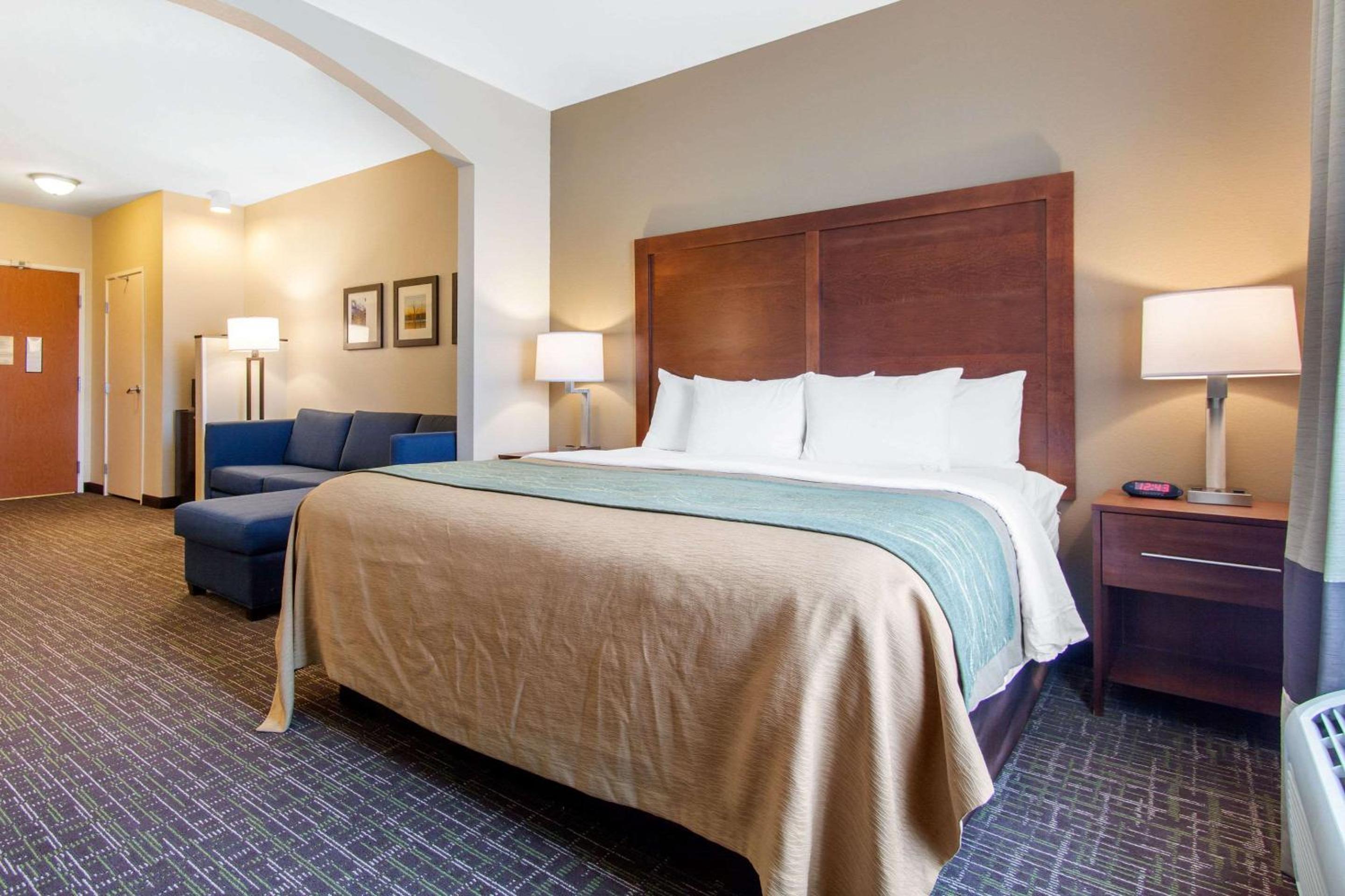 King Suite with Sofa Bed - Non-Smoking - Photo 5