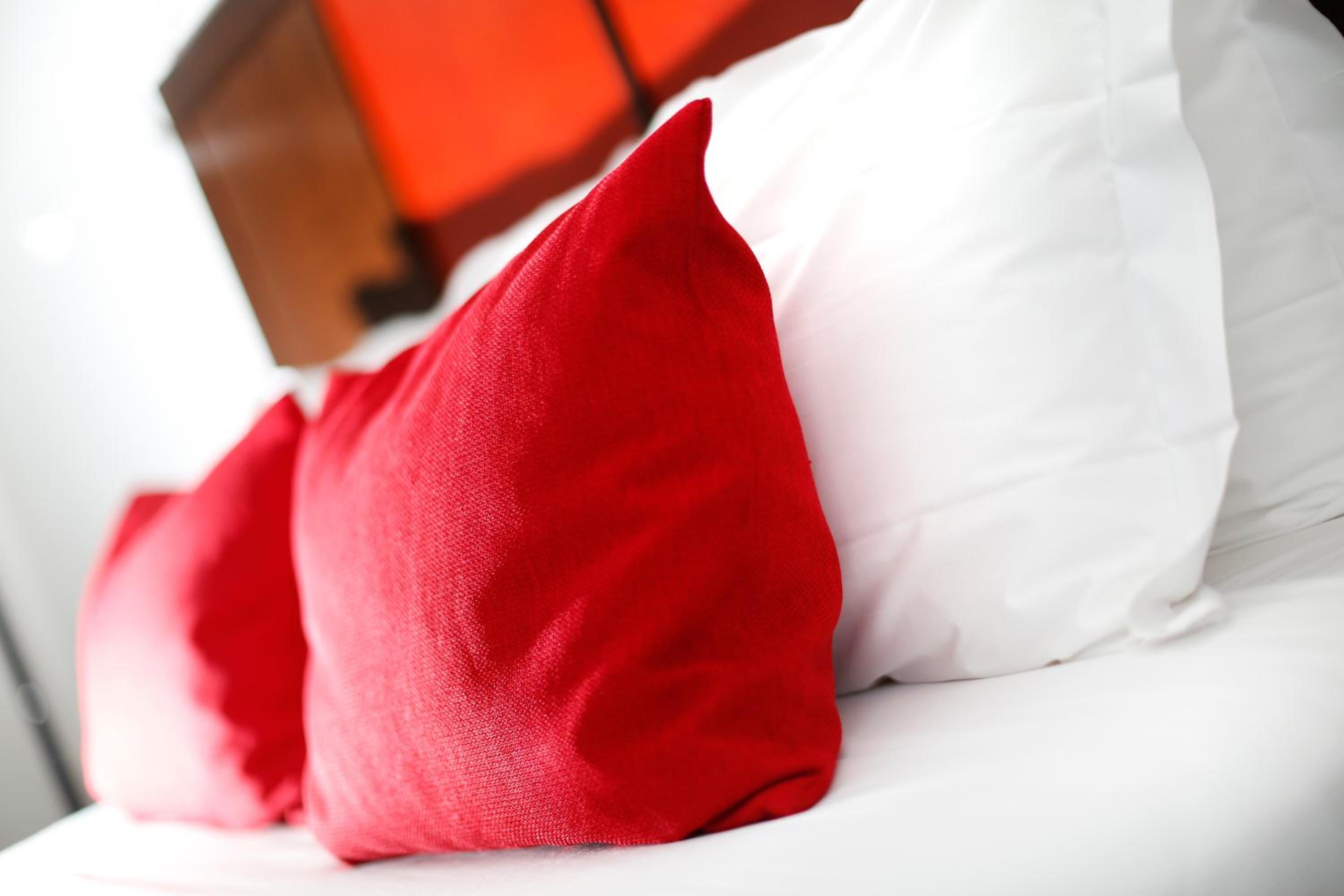 Comfort Double or Twin Room with Terrace - Photo 4