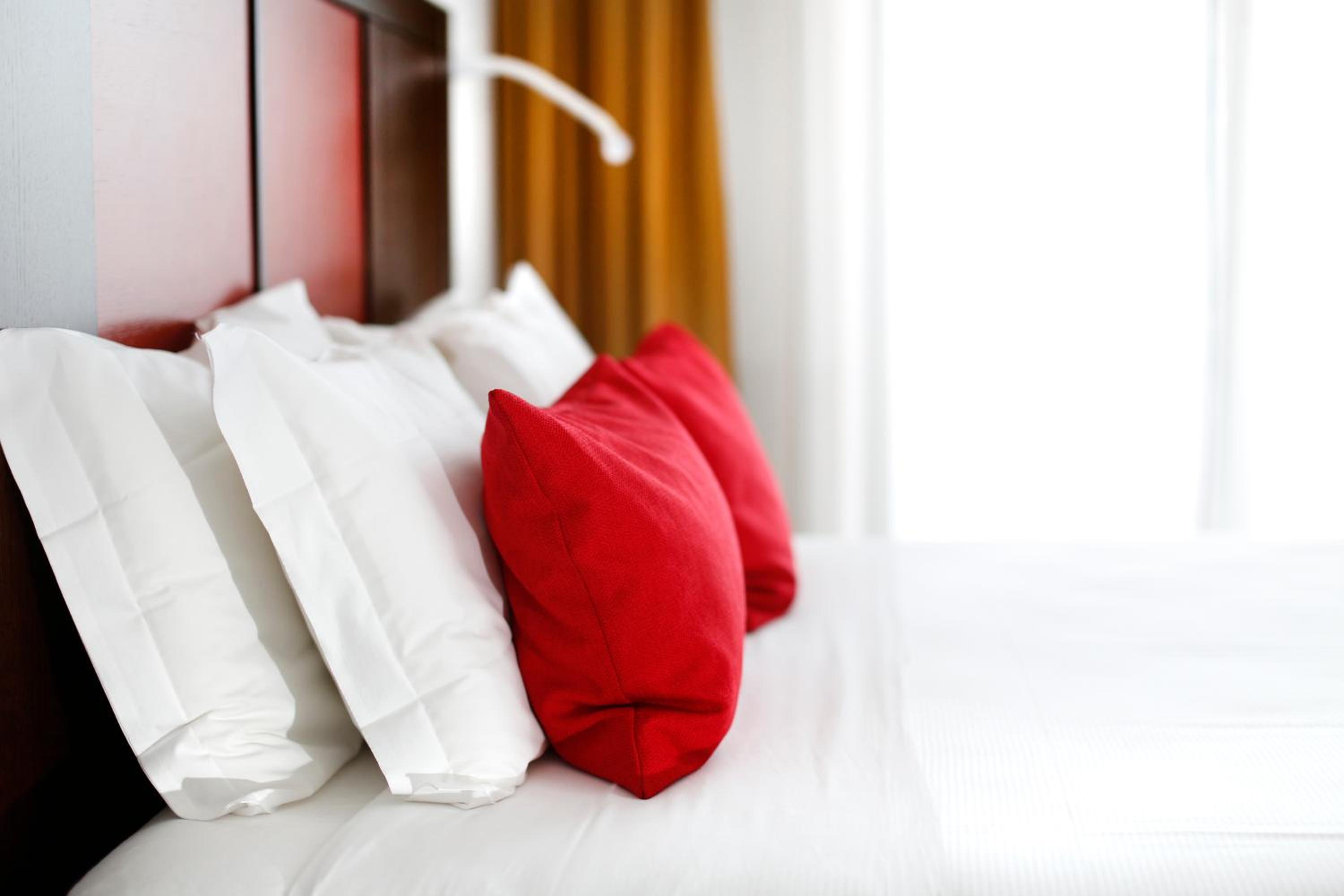 Superior Double or Twin Room with Terrace - Photo 3