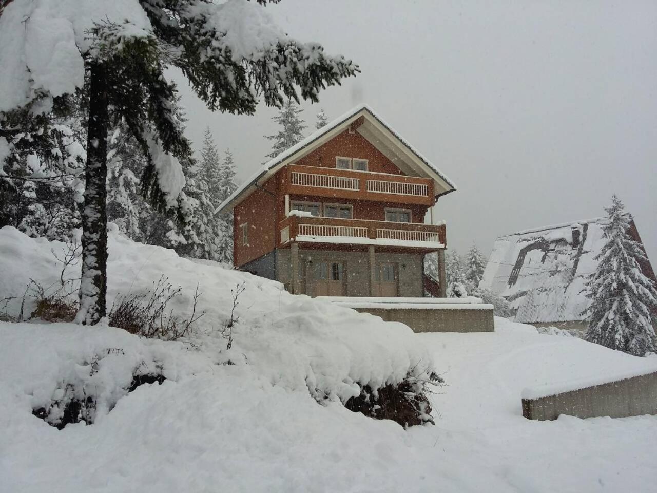 Vacation Home photo 3
