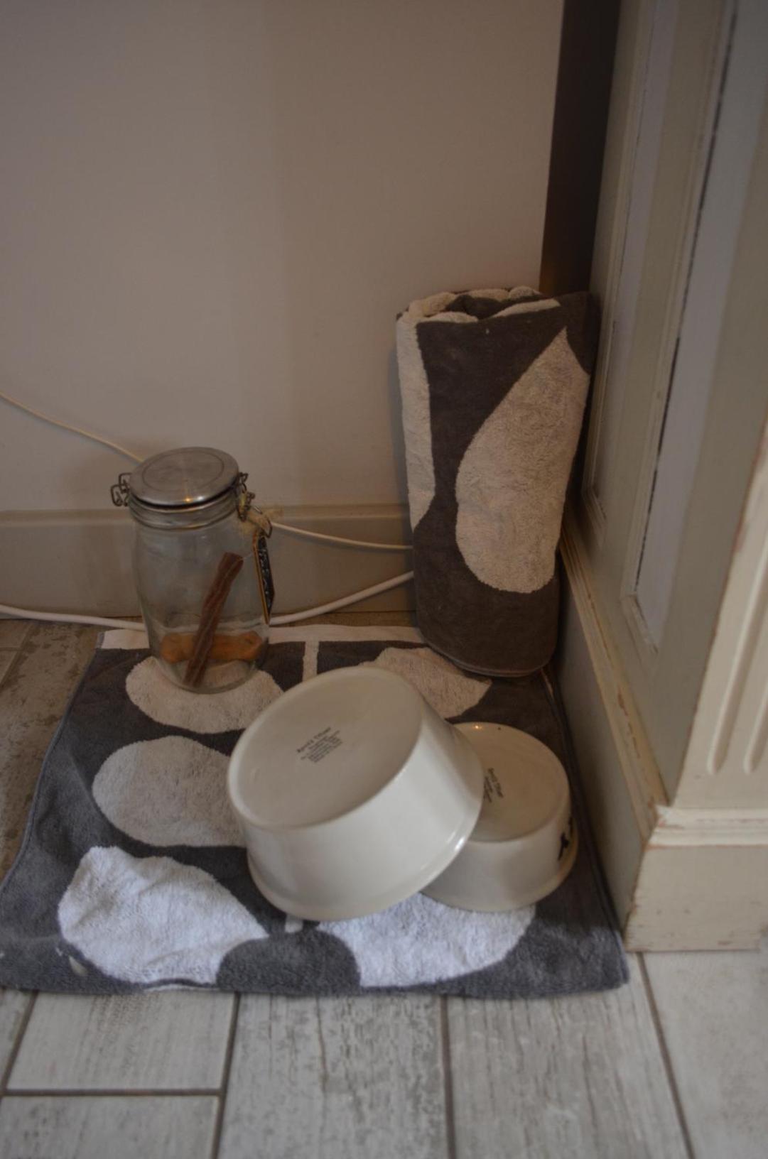 Family Room - Pet Friendly - Photo 13