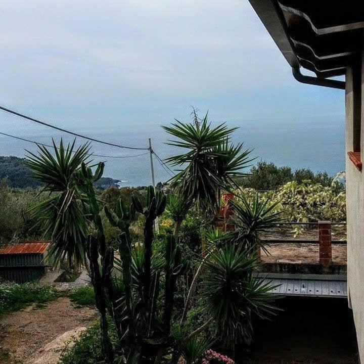 Deluxe Double Room with Balcony photo 2