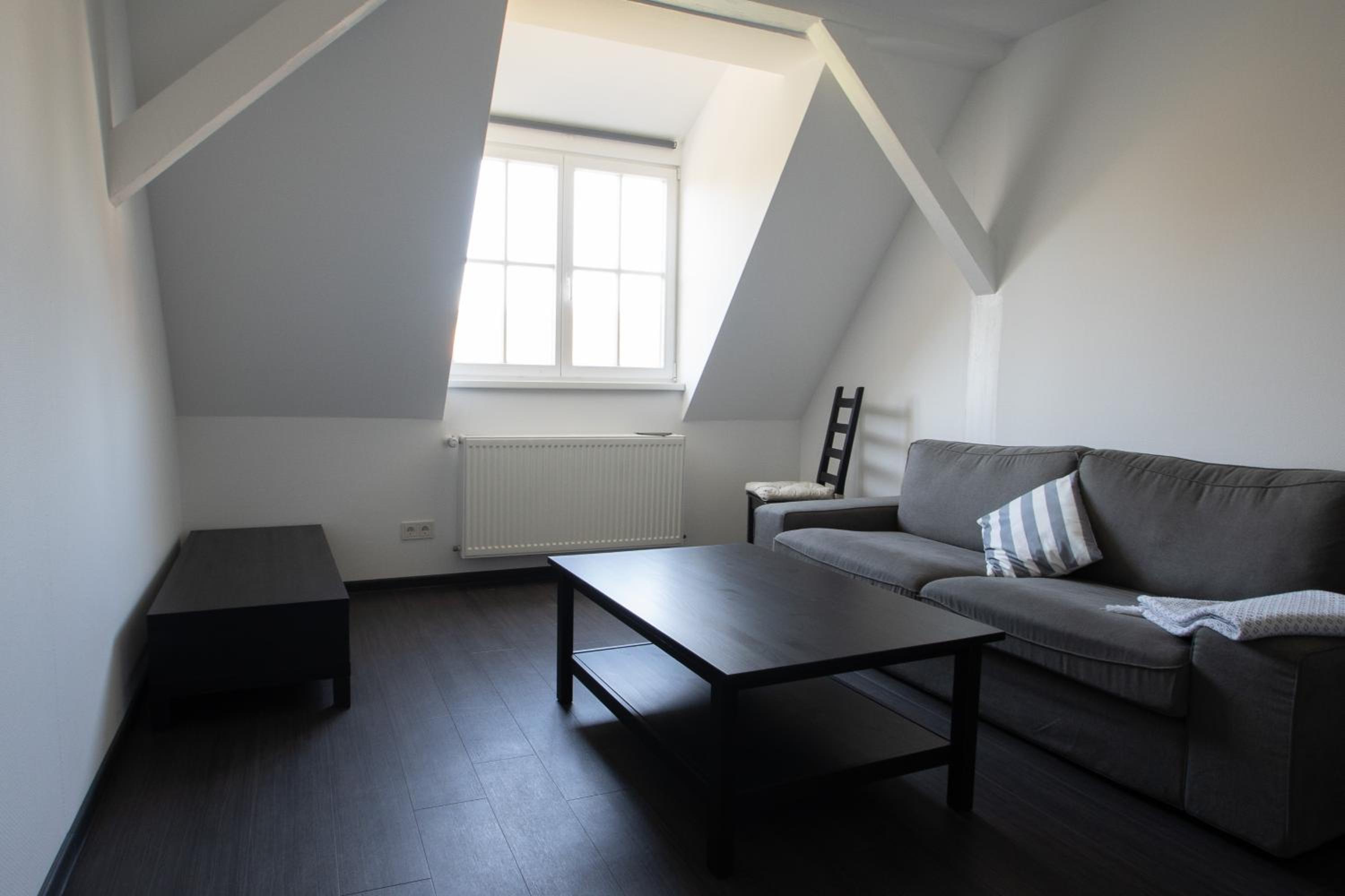 Duplex Apartment photo 3