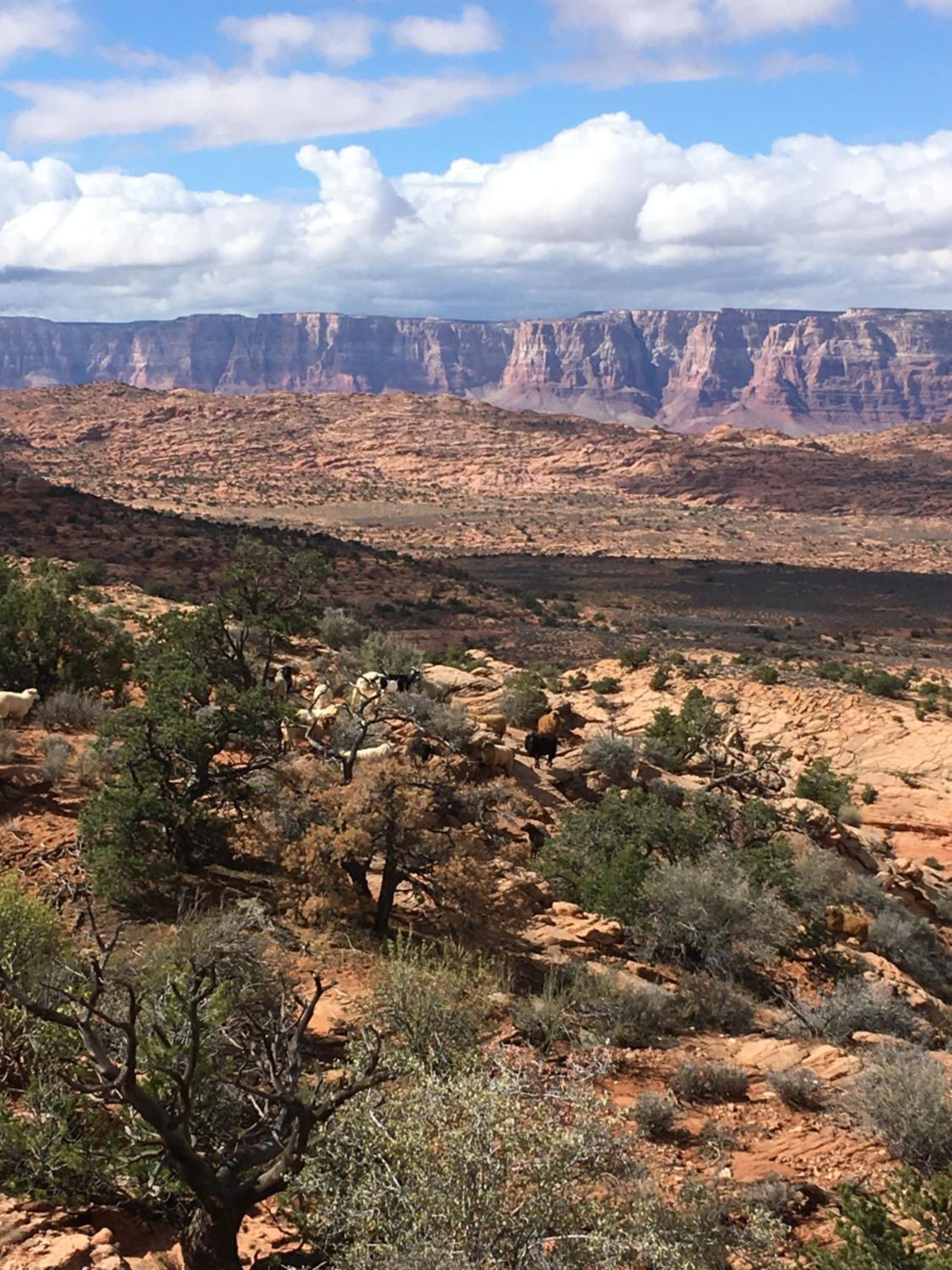 Traditional Navajo Hogan (1) - Photo 27