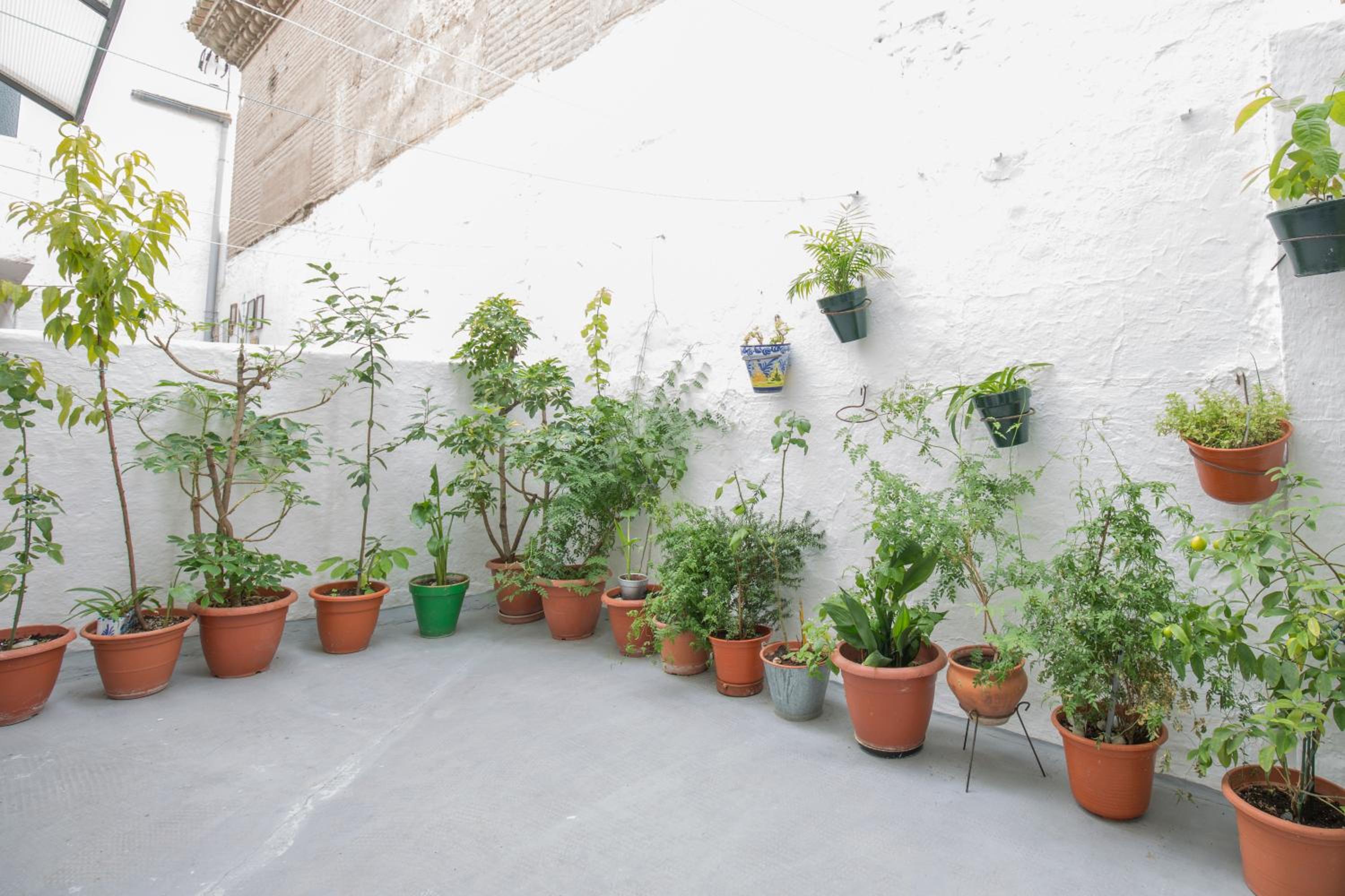 Apartment - Photo 7