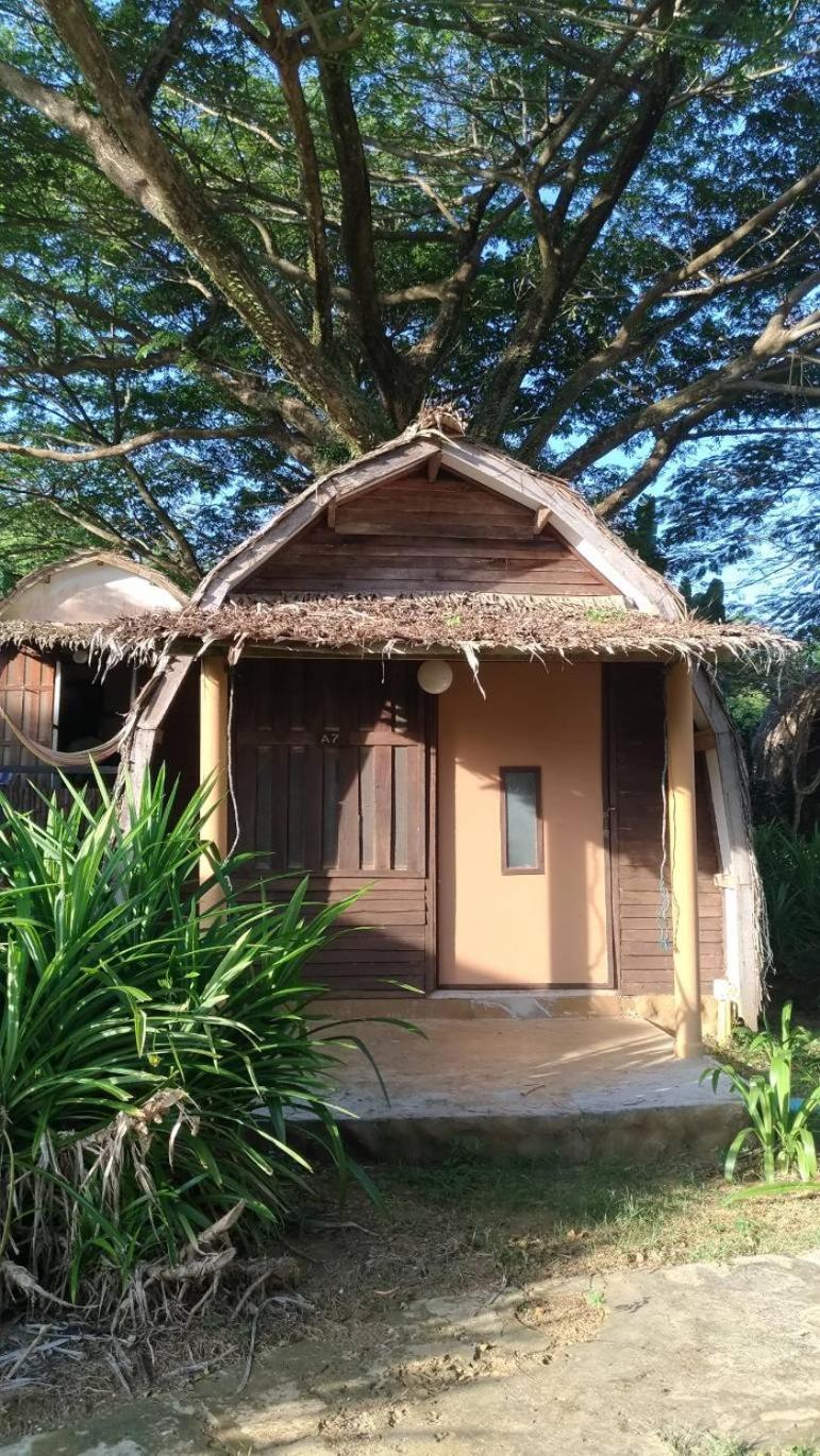 Ape Hut with Shared Bathroom