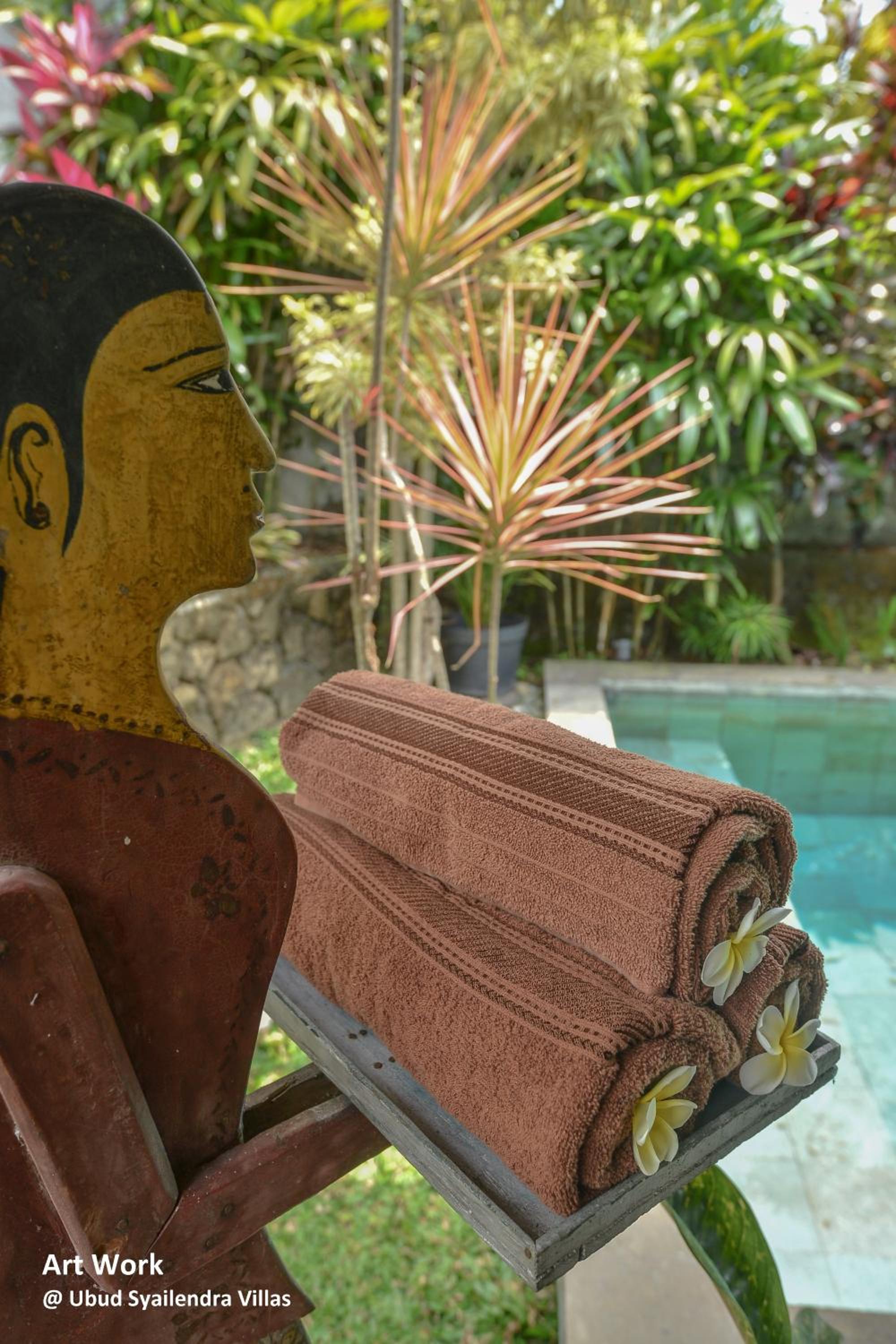 One-Bedroom Deluxe Villa with Private Pool photo 2