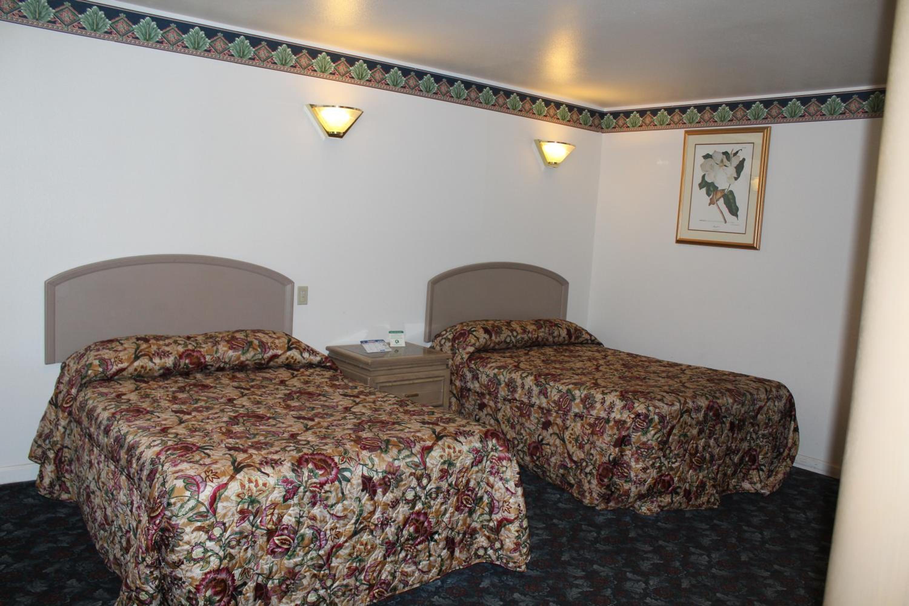 Room with Two Double Beds photo 1