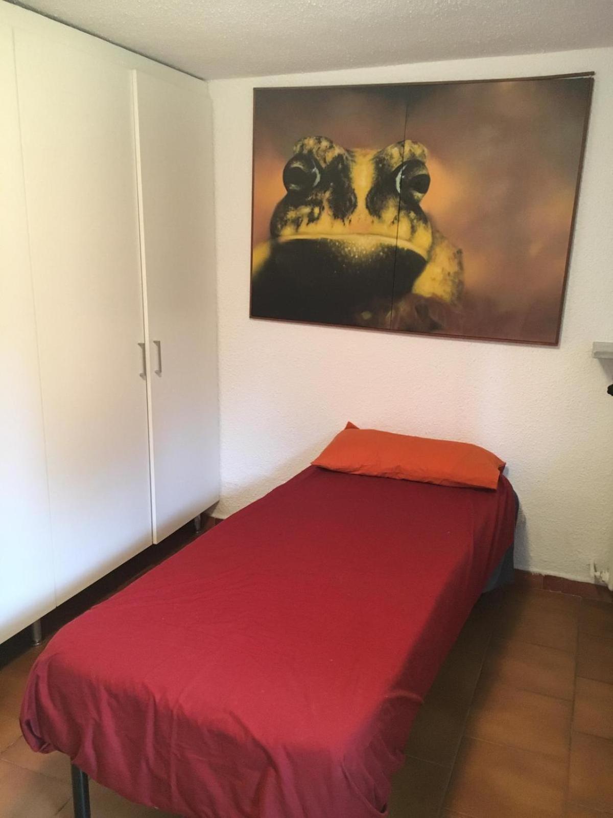 Apartment - Photo 10