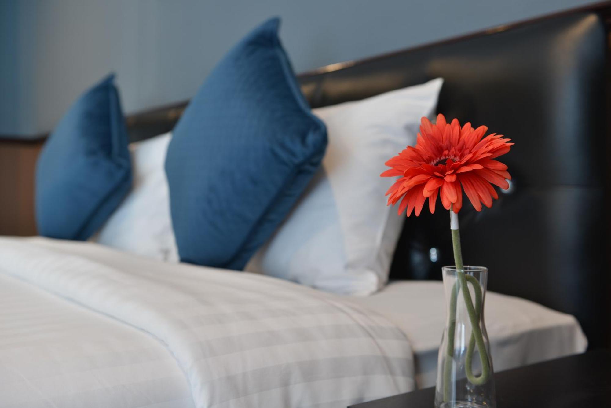 Superior Double Room photo 3