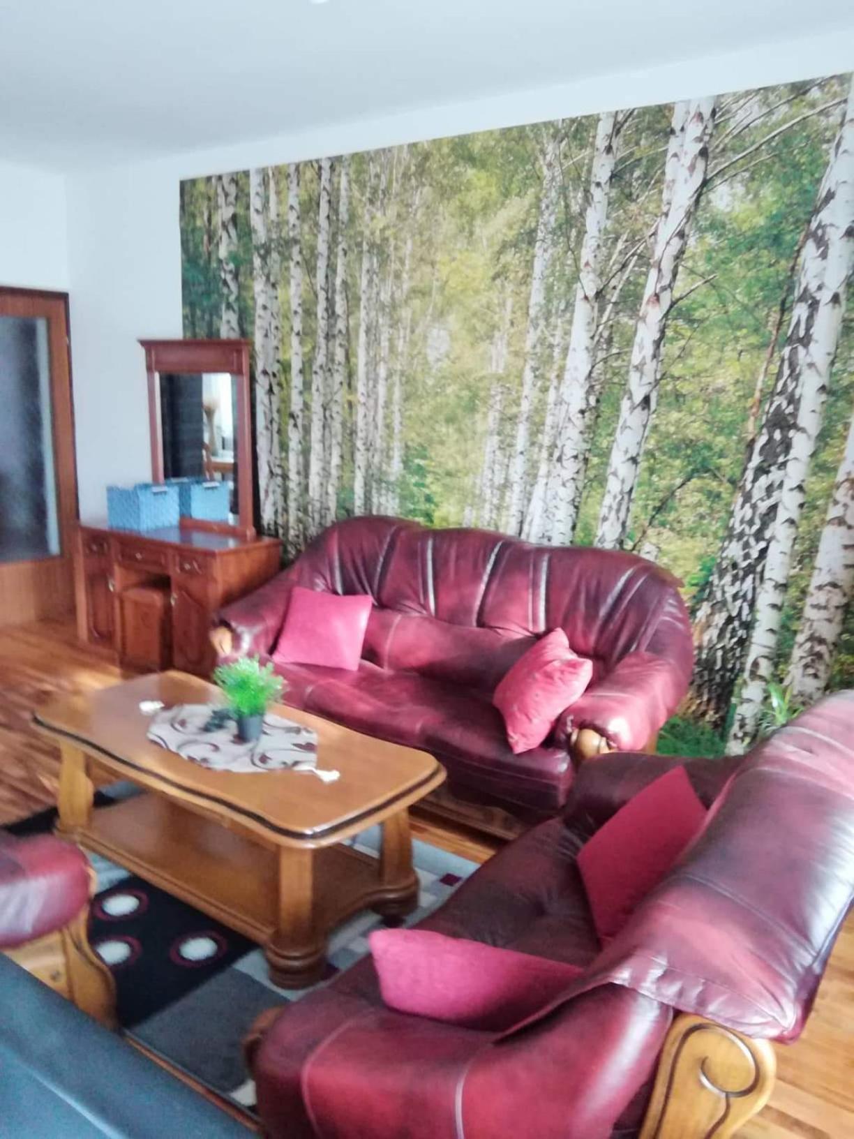 Apartment - Photo 8