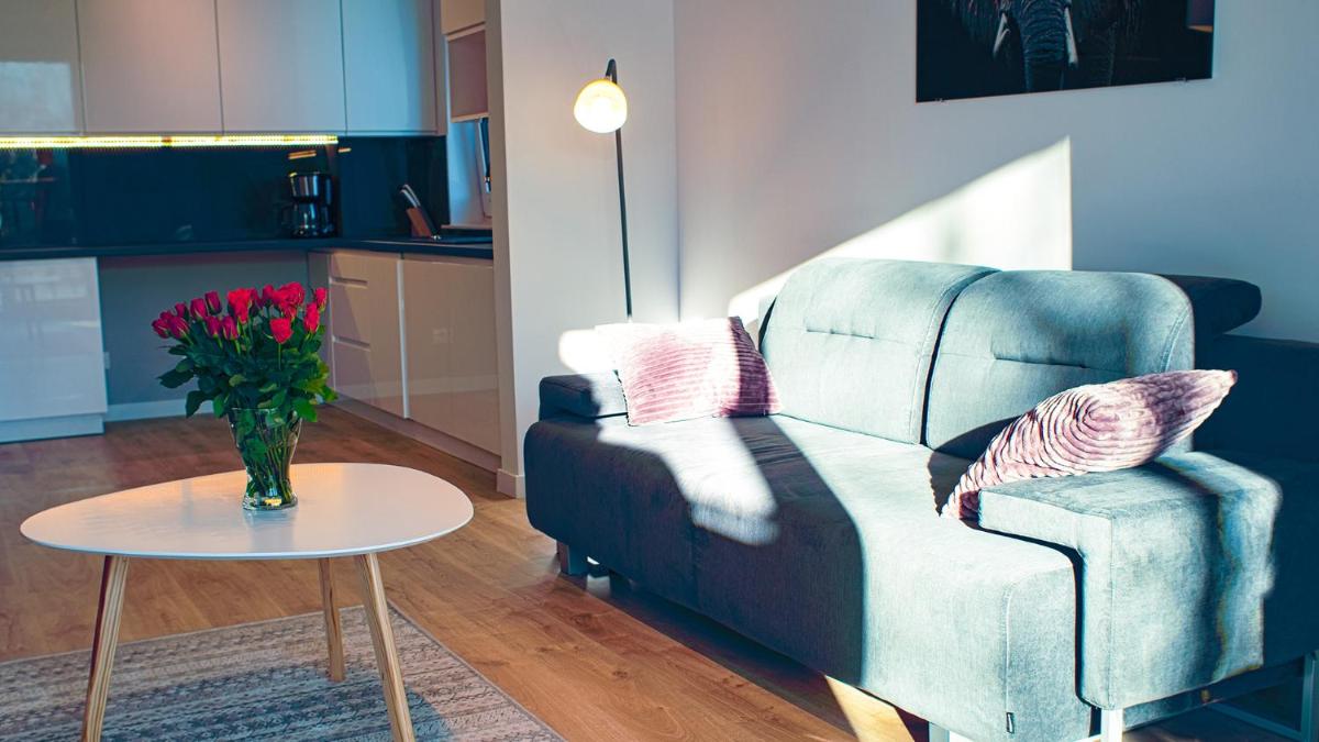 Superior Apartment photo 2