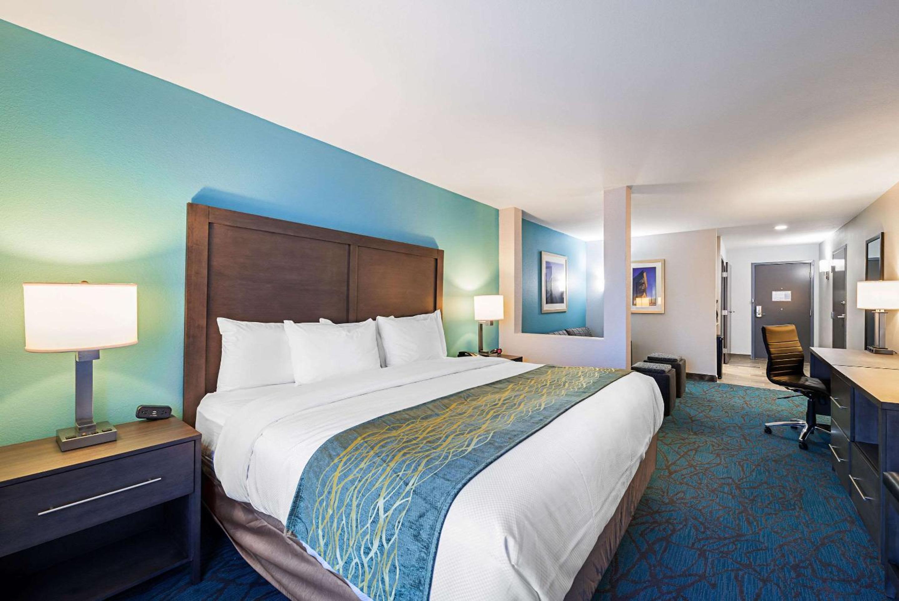 Suite with One King Bed photo 1