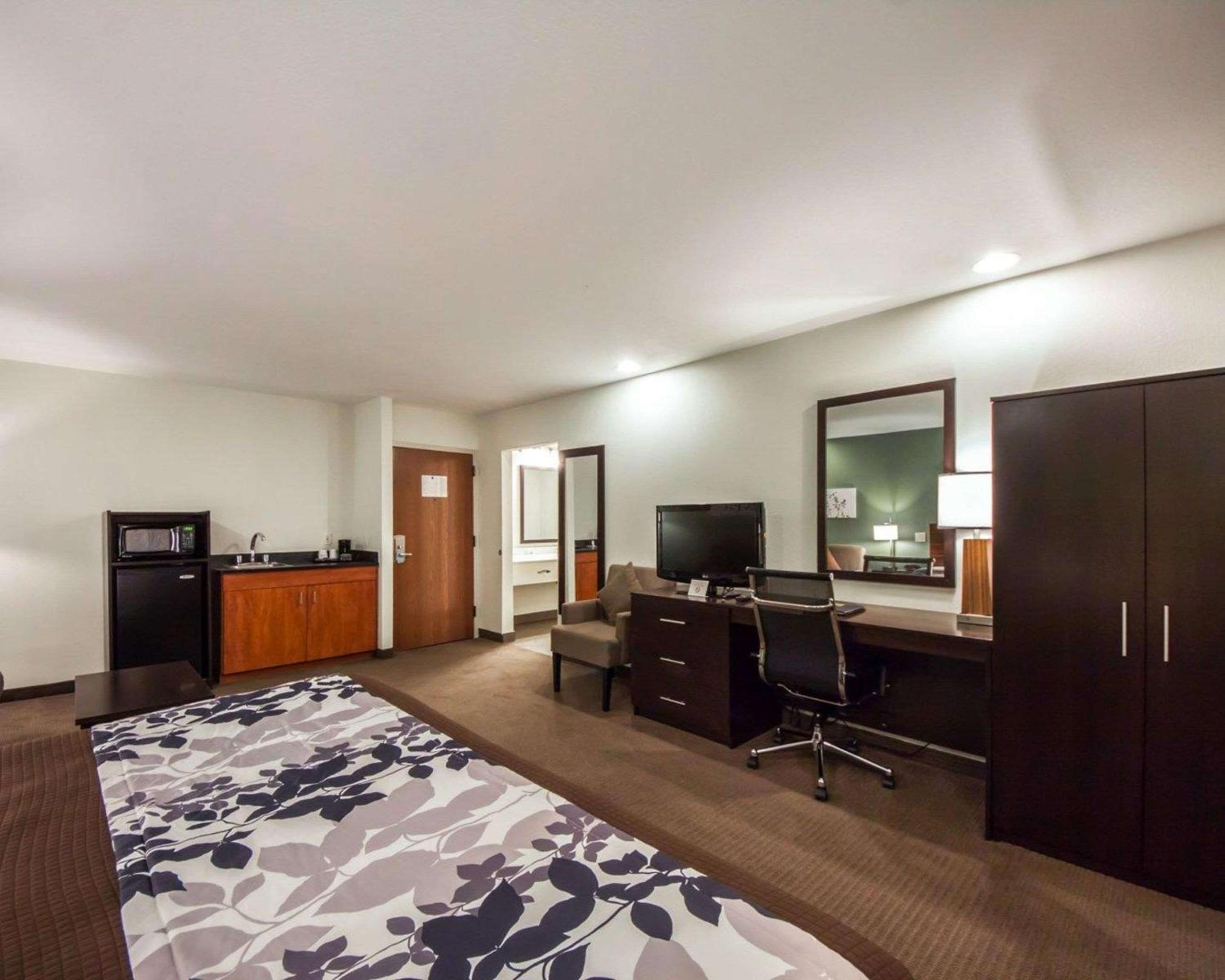 King Suite - Non-Smoking - Photo 3