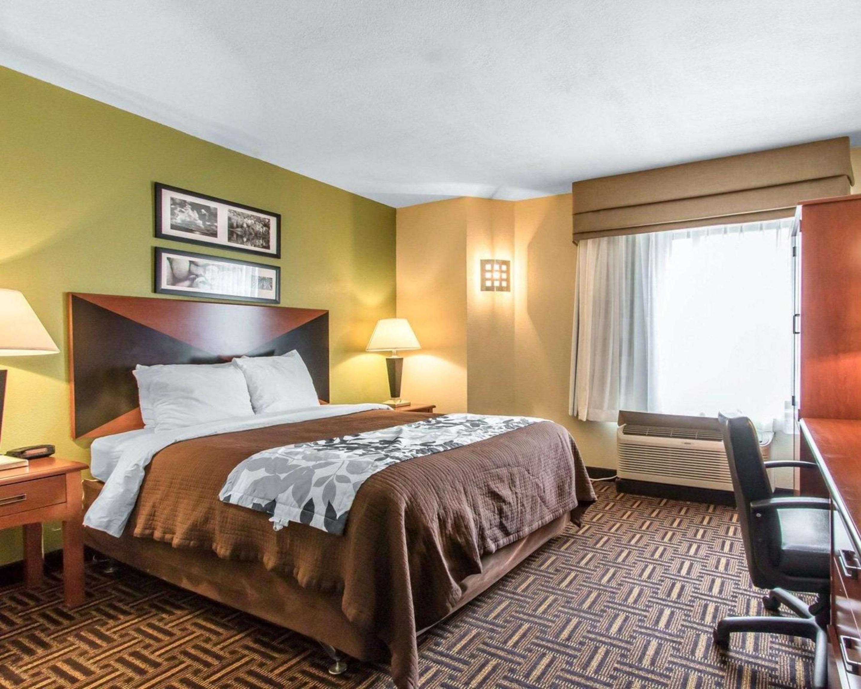 Queen Room - Disability Access - Photo 1