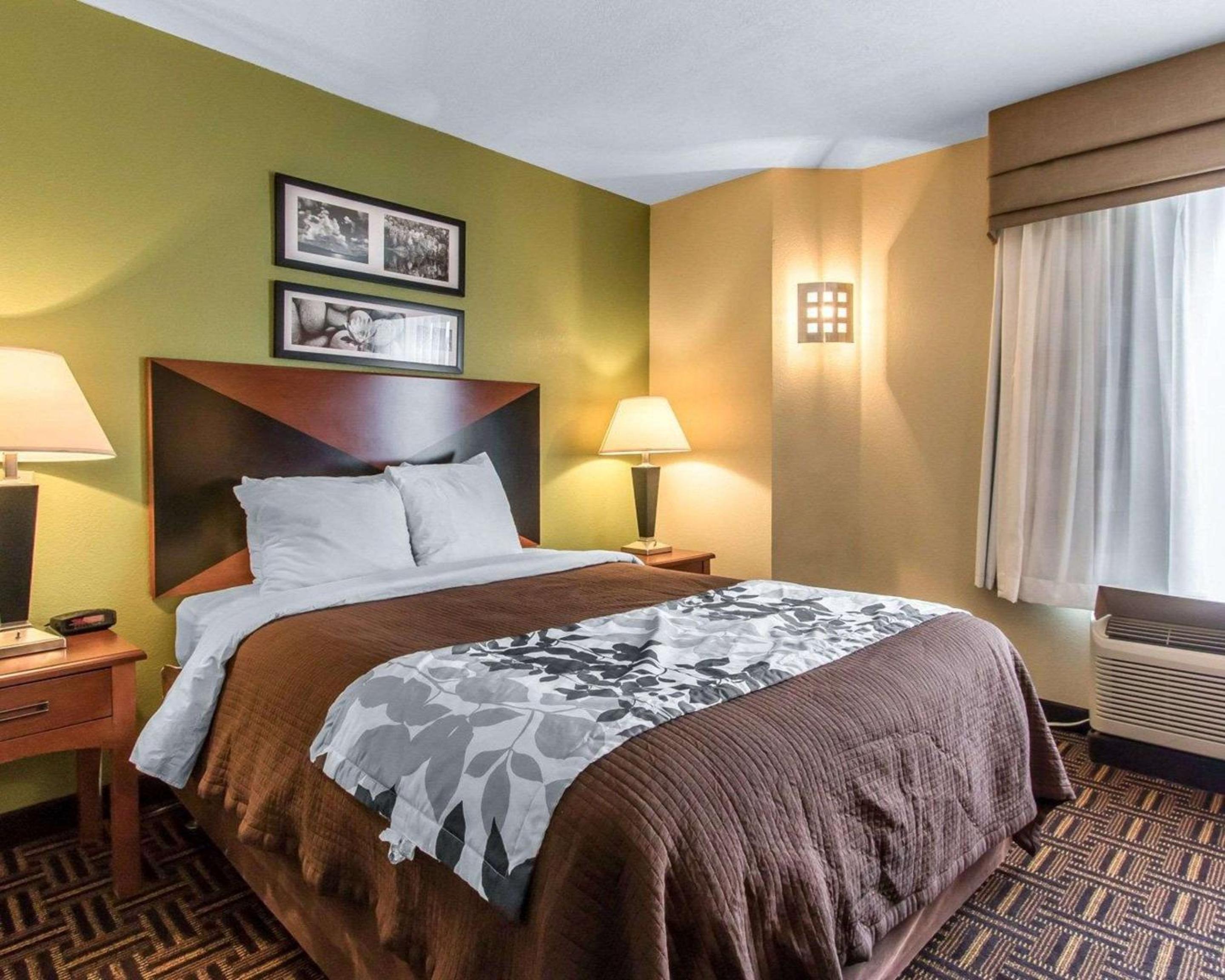 Queen Room - Disability Access - Photo 3