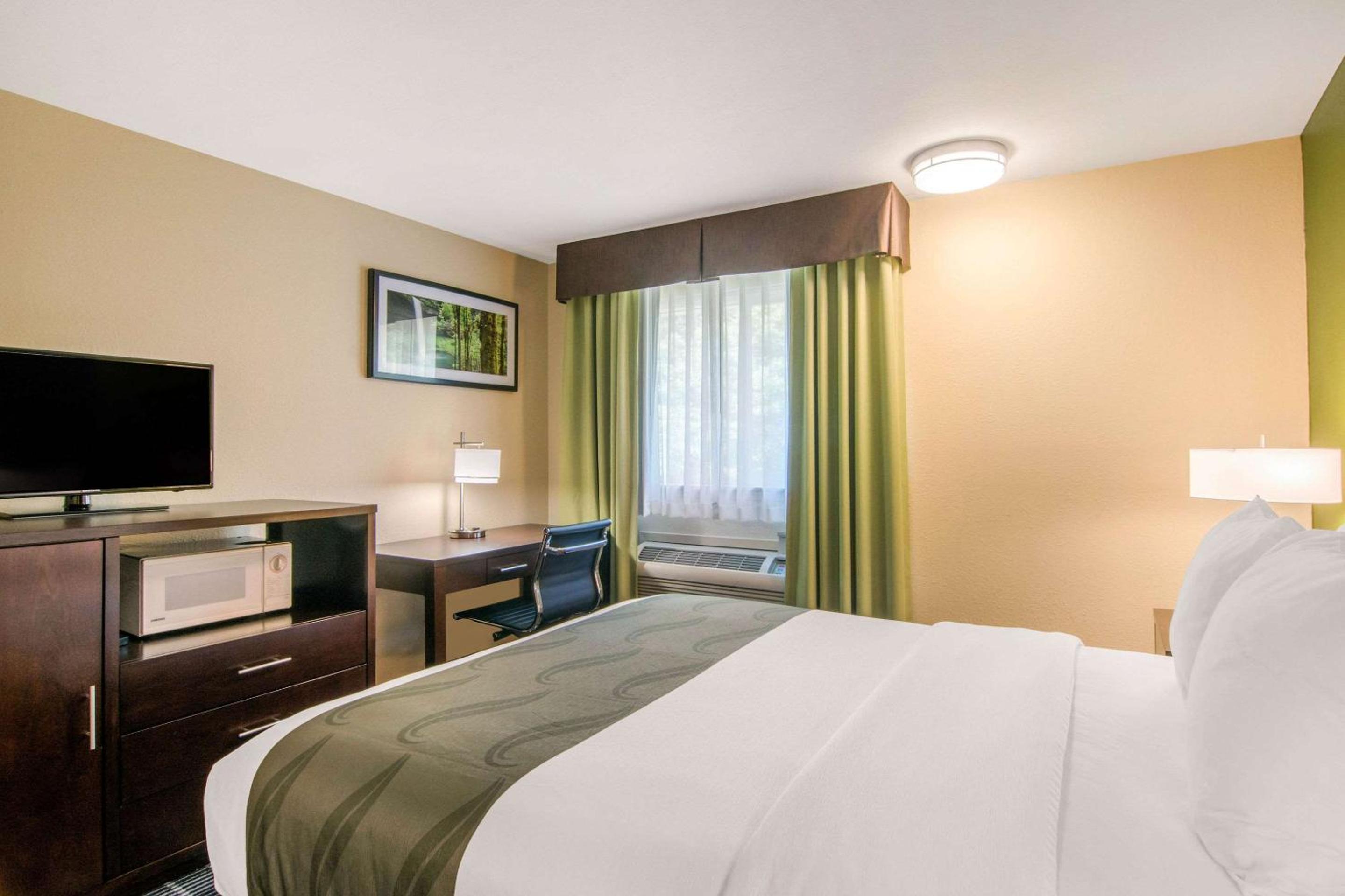 King Room - Non-Smoking - Photo 3