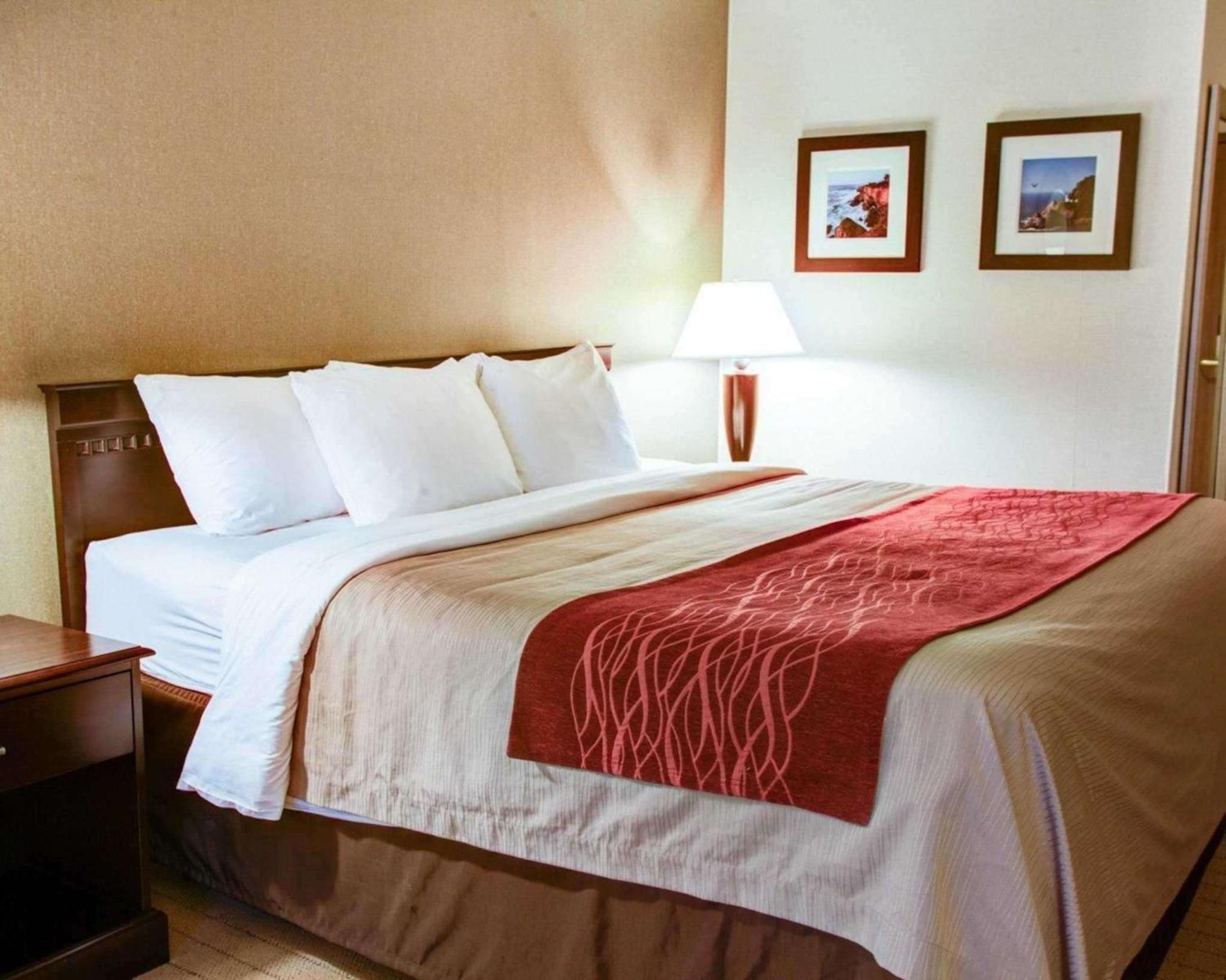 King Room - Non-Smoking - Photo 1