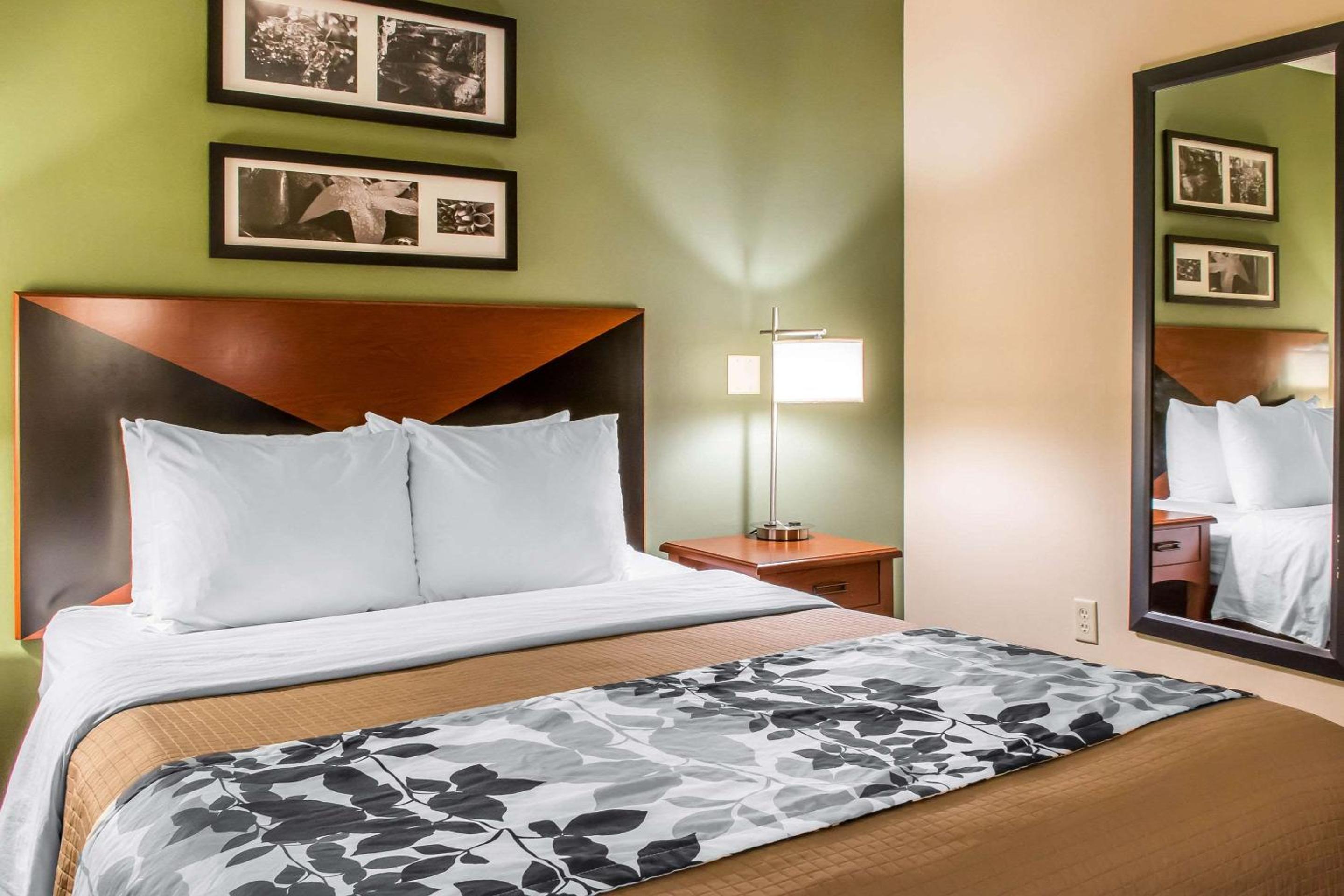 Queen Room - Disability Access/Non-Smoking - Photo 4