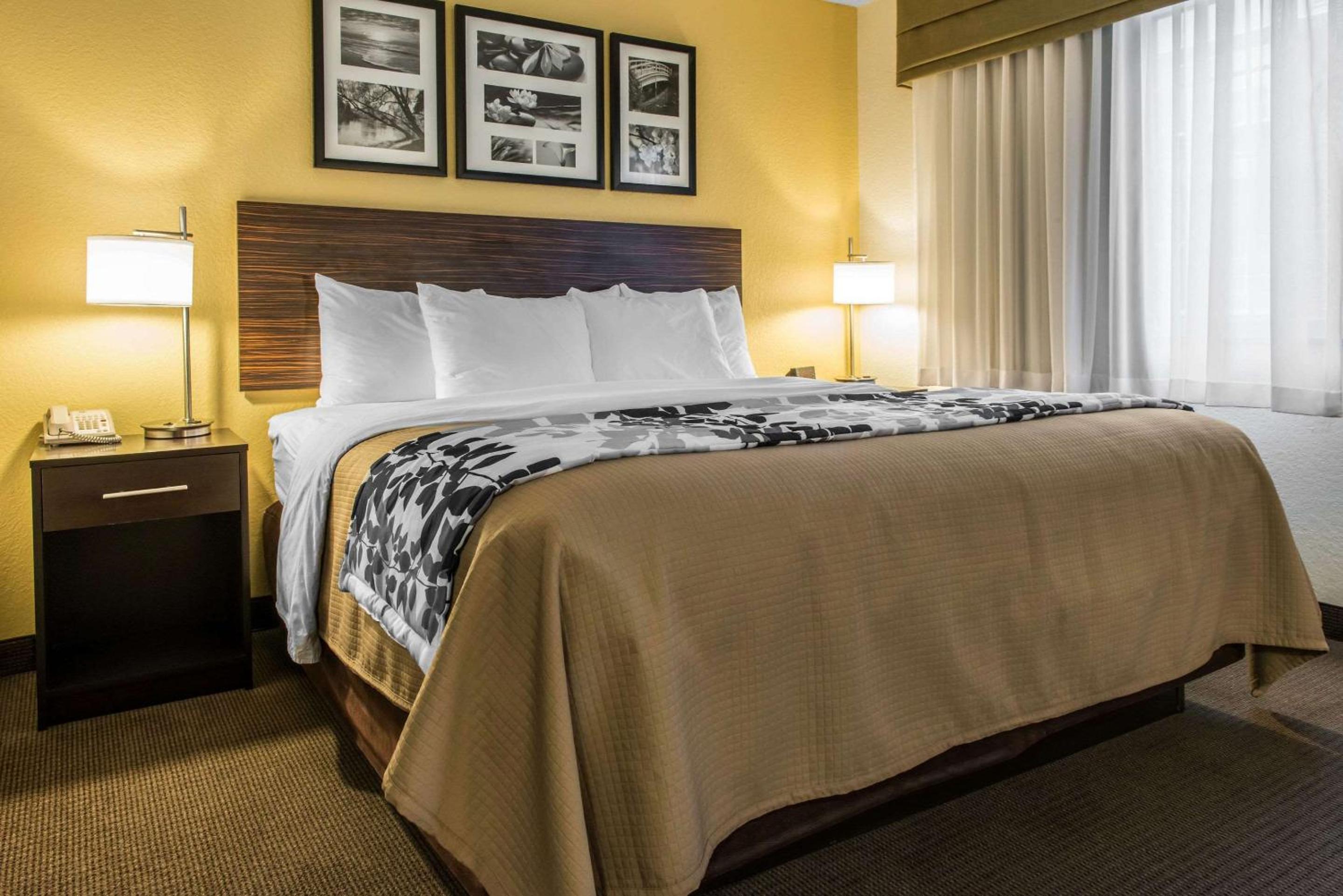 King Suite with Sofa Bed photo 2
