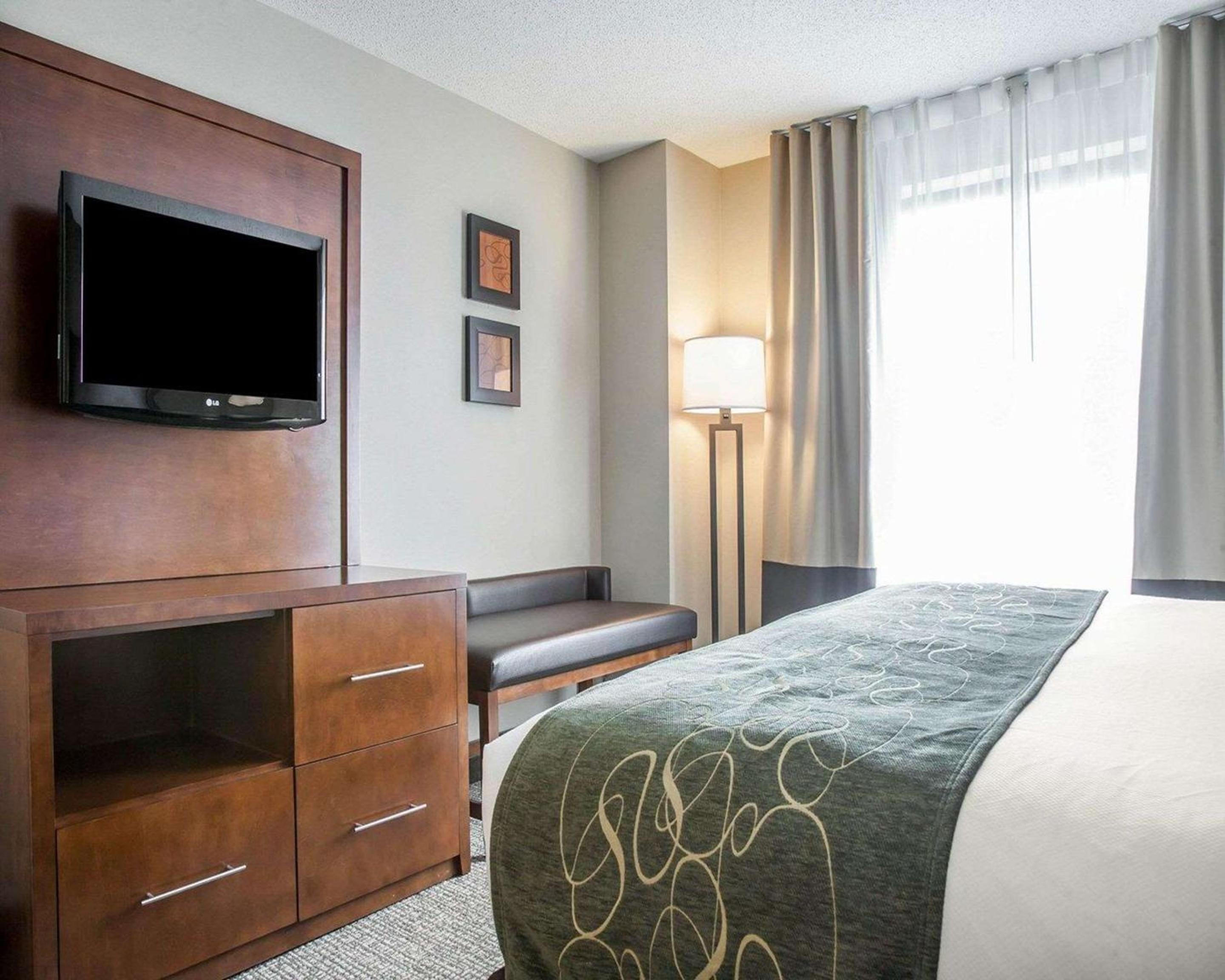 King Suite with Sofa Bed - Non-Smoking - Photo 6