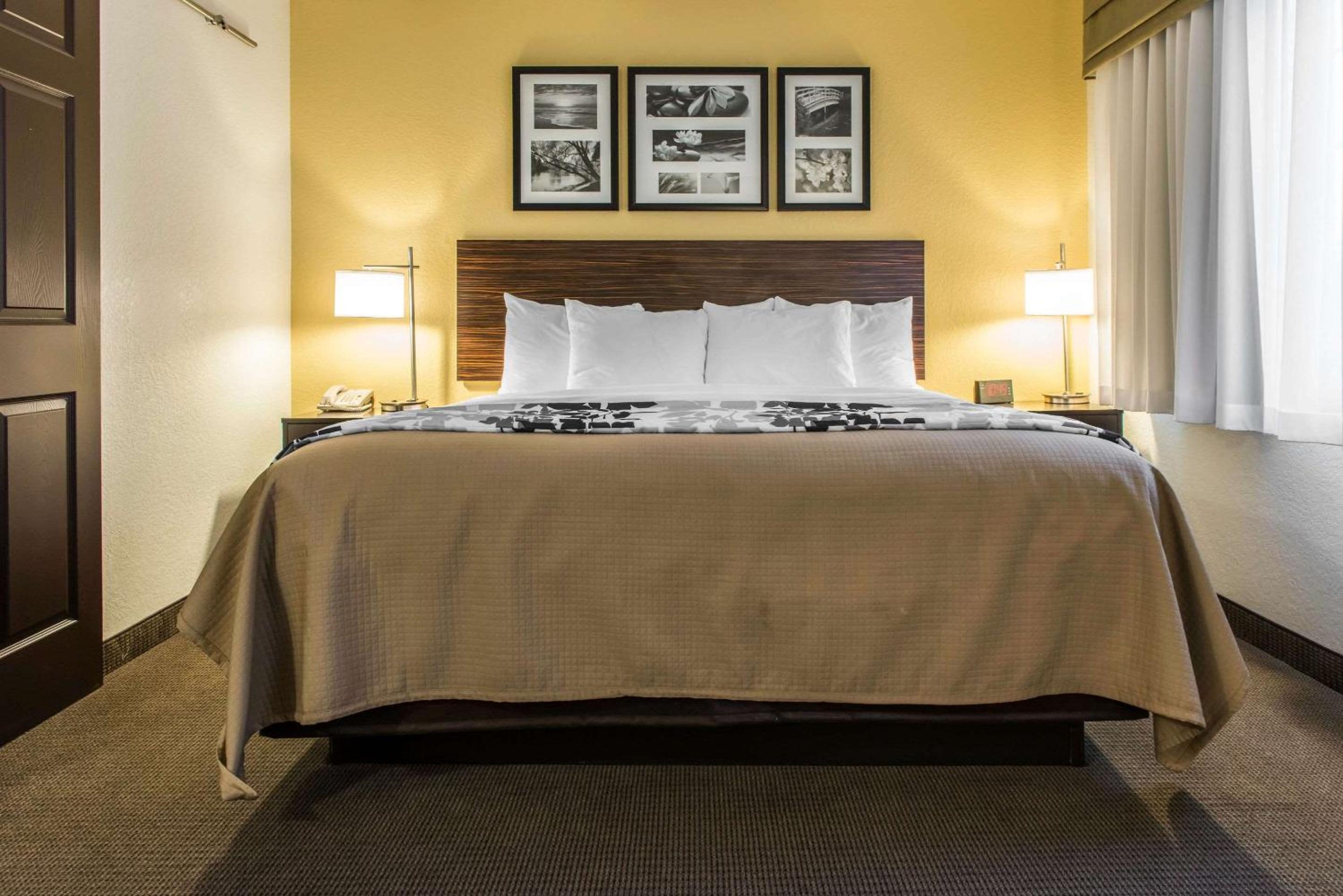 King Suite with Sofa Bed photo 3