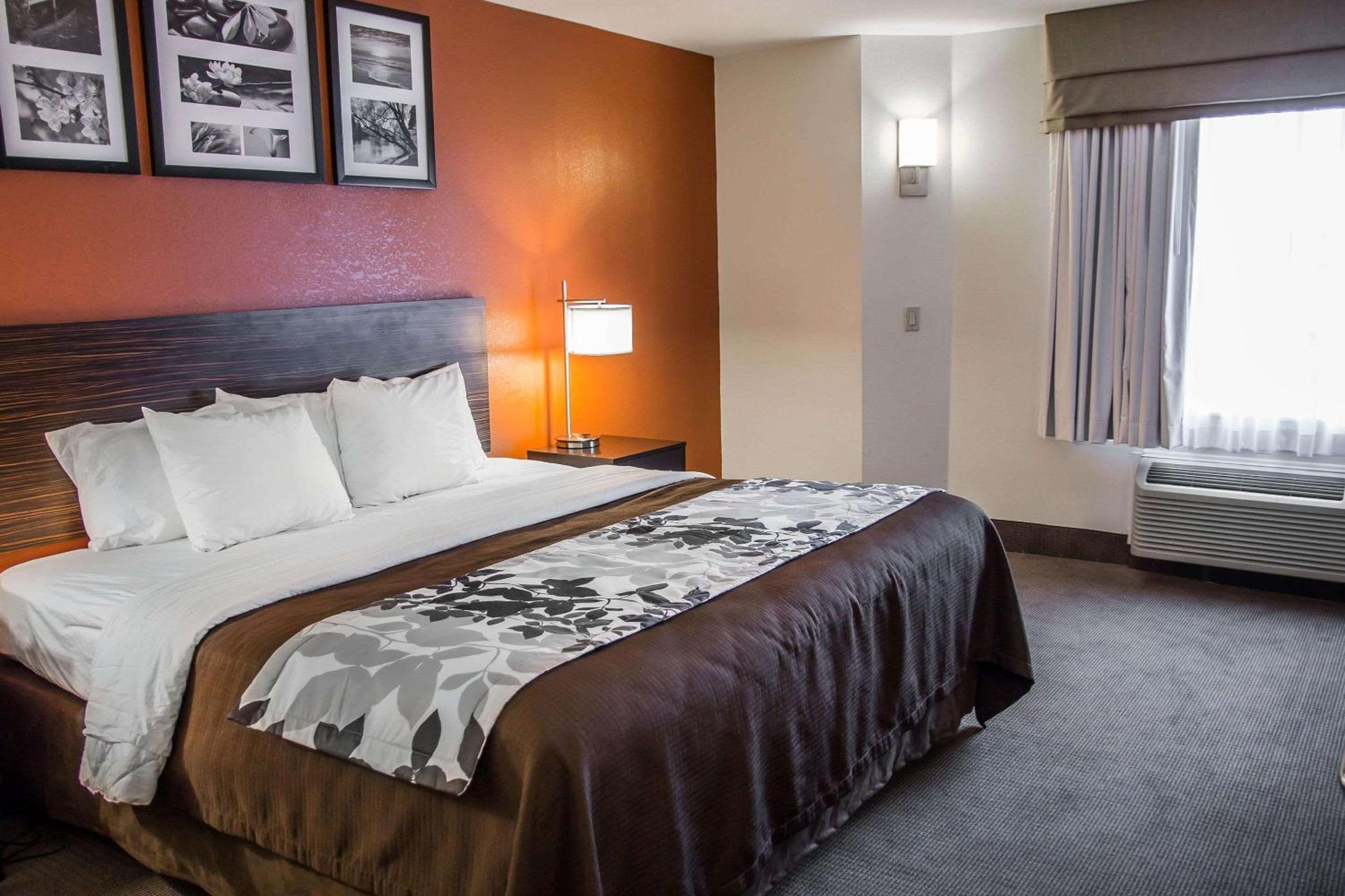 King Room - Accessible/Non-Smoking - Photo 1