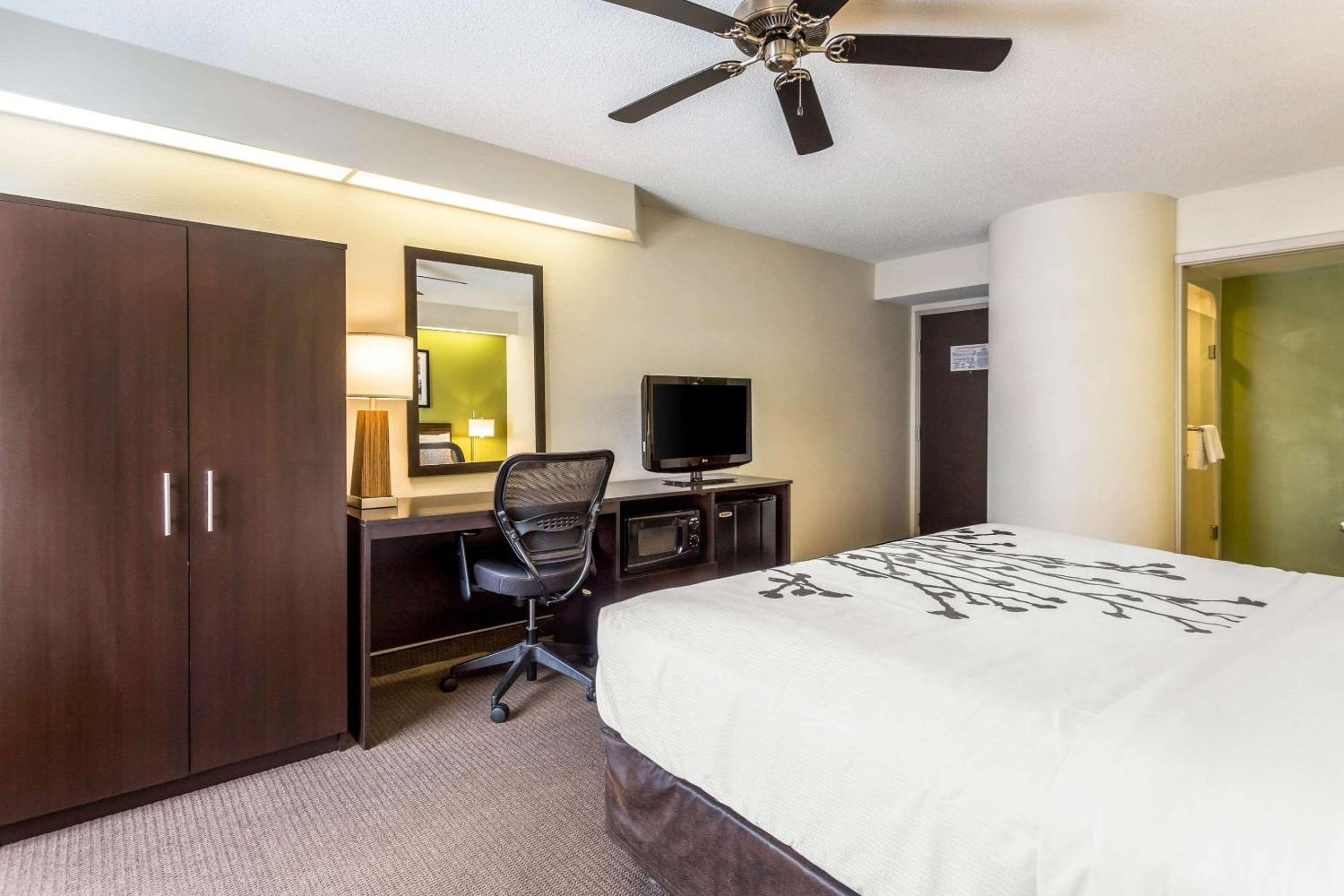 Standard King Room - Photo 4