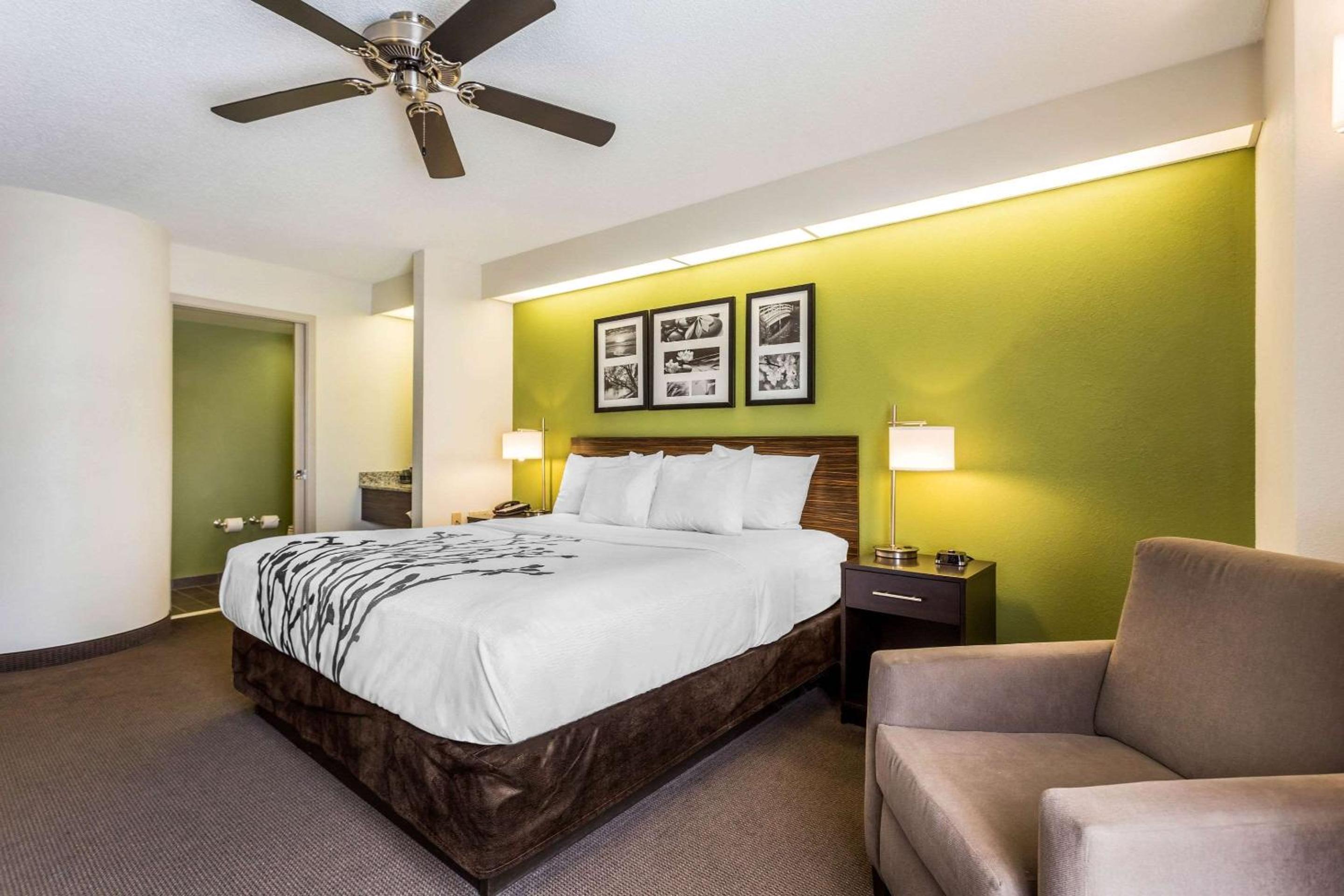 Standard King Room - Photo 3