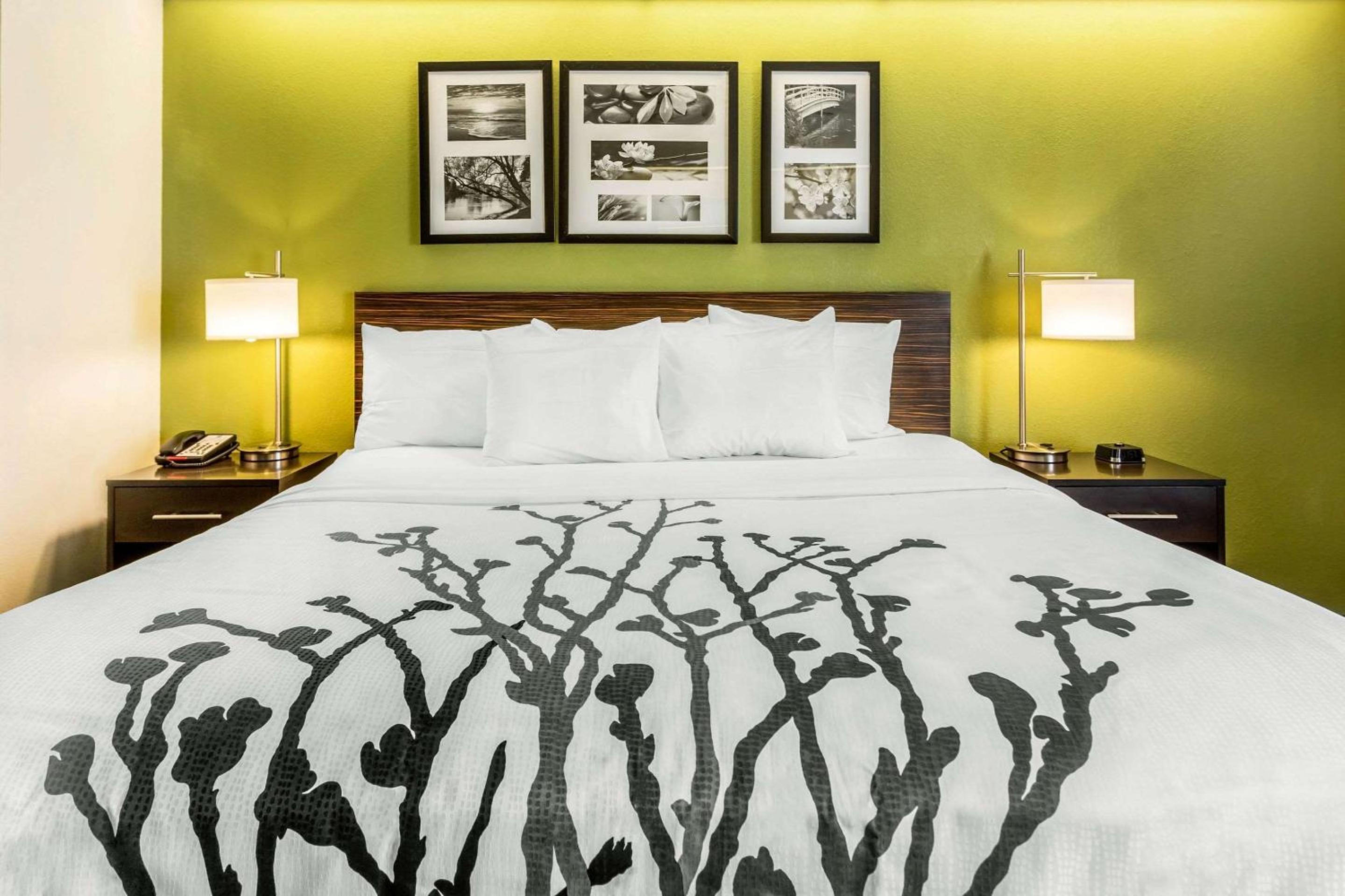Standard King Room - Photo 2