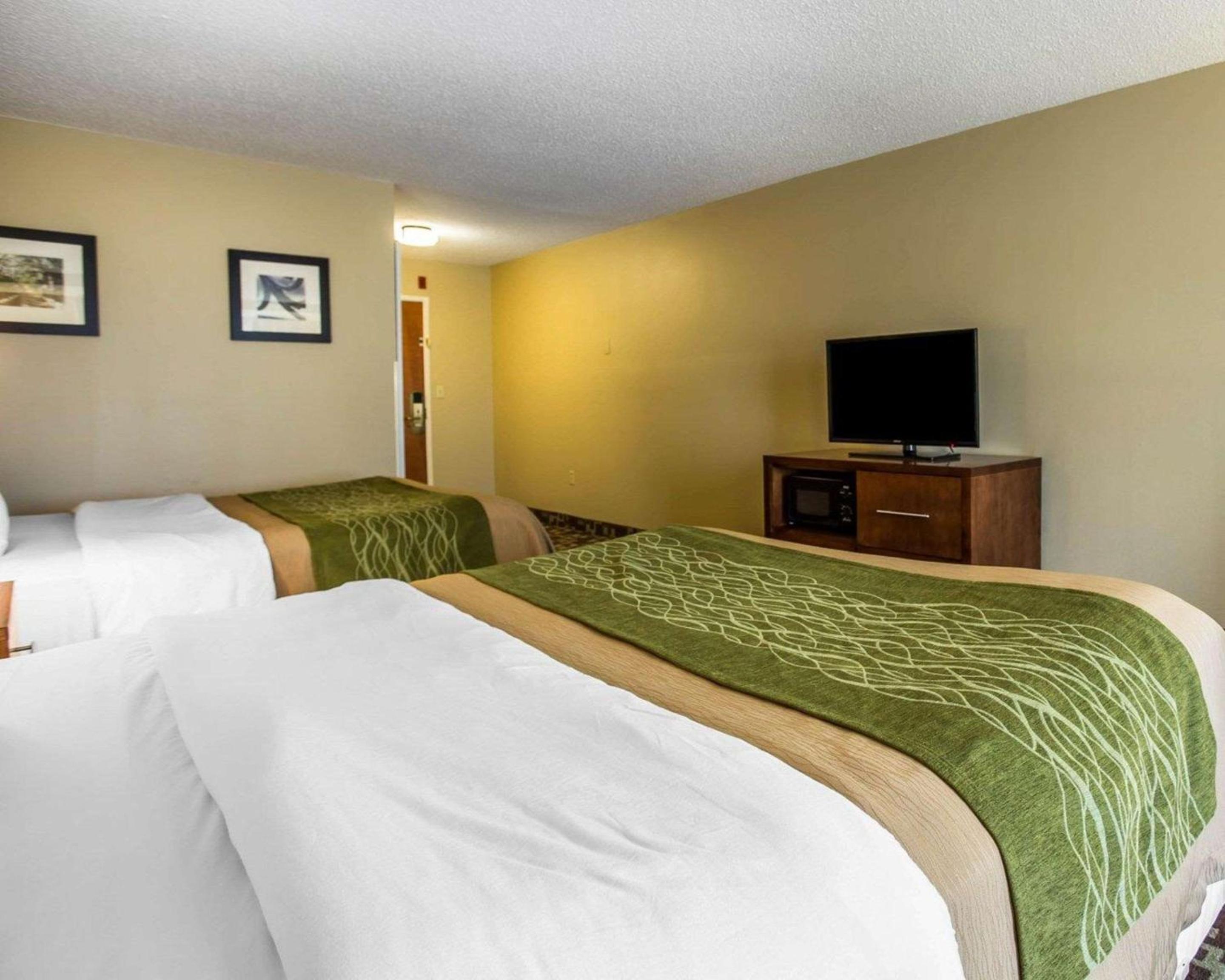 Queen Room with Two Queen Beds - Disability Access/Non-Smoking - Photo 4