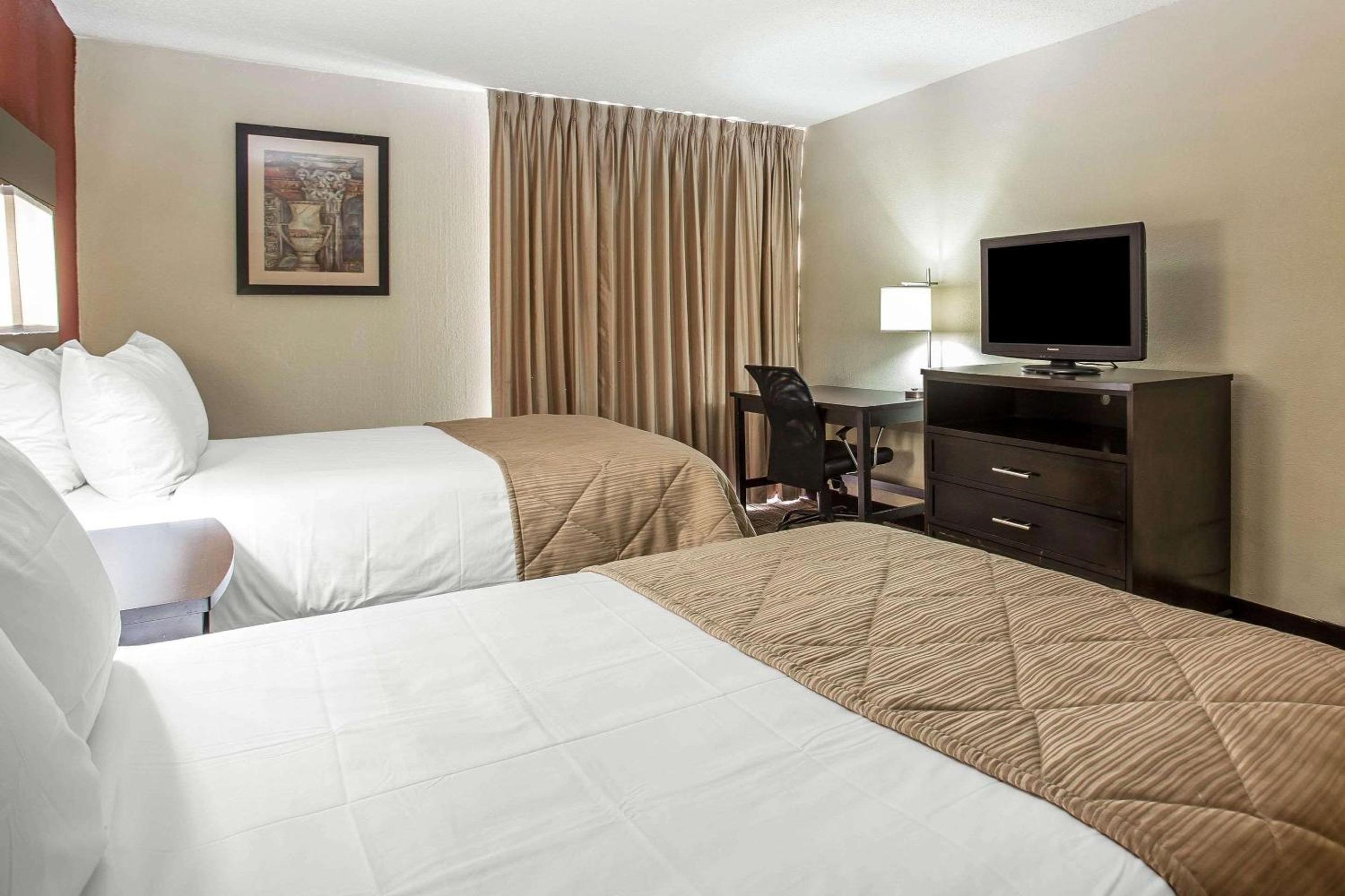 1 King Bed, 2 Double Beds, Efficiency, Suite, Nonsmoking photo 2