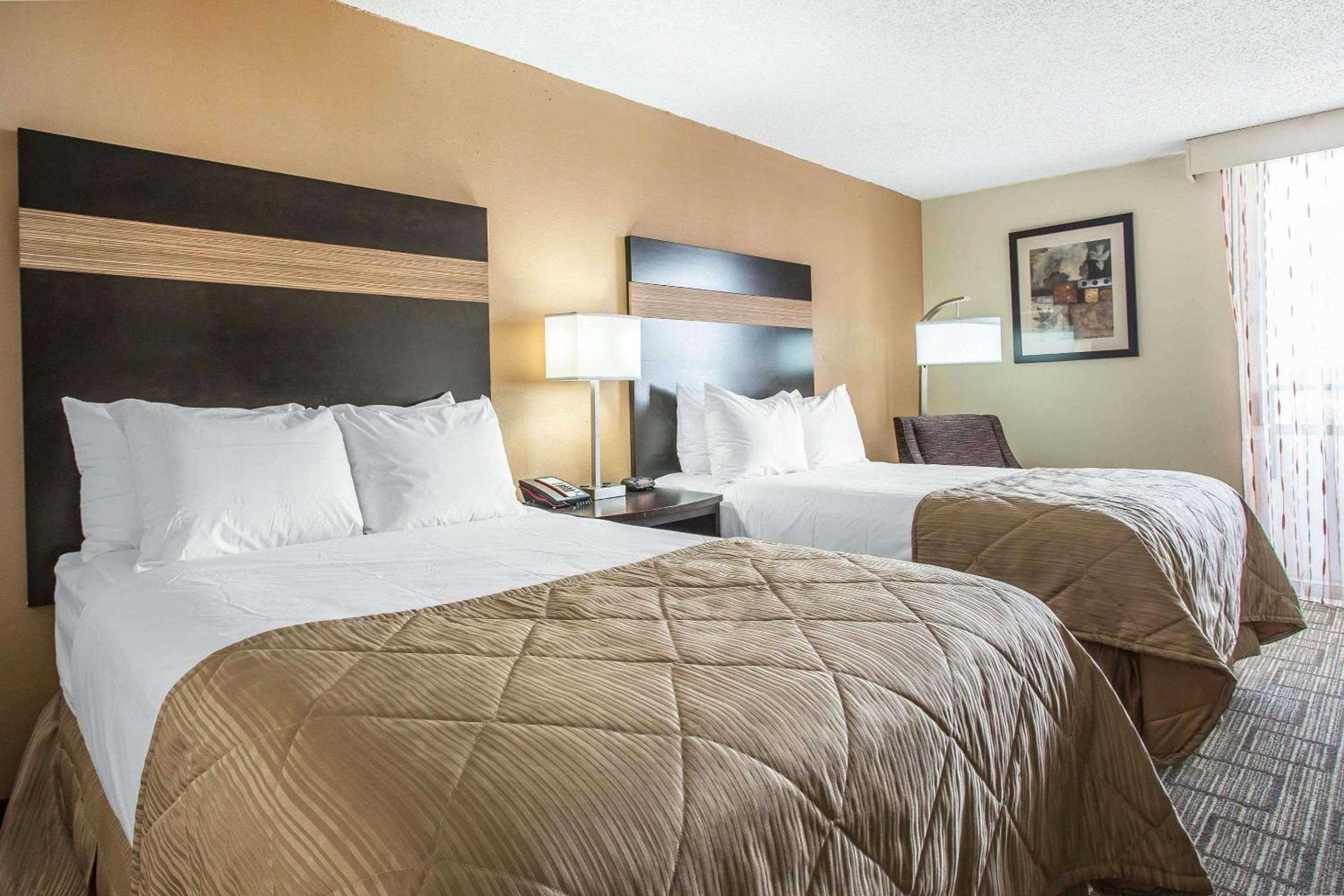 1 King Bed, 2 Double Beds, Efficiency, Suite, Nonsmoking photo 3
